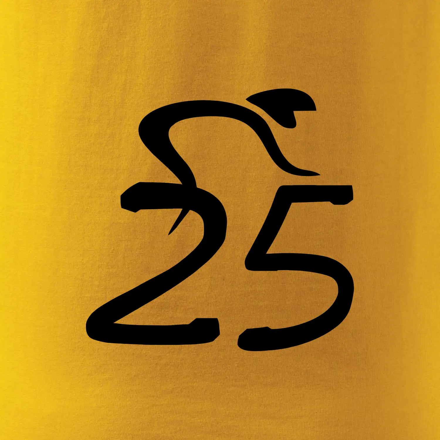 Cyklista slaví pětadvacítku (25)