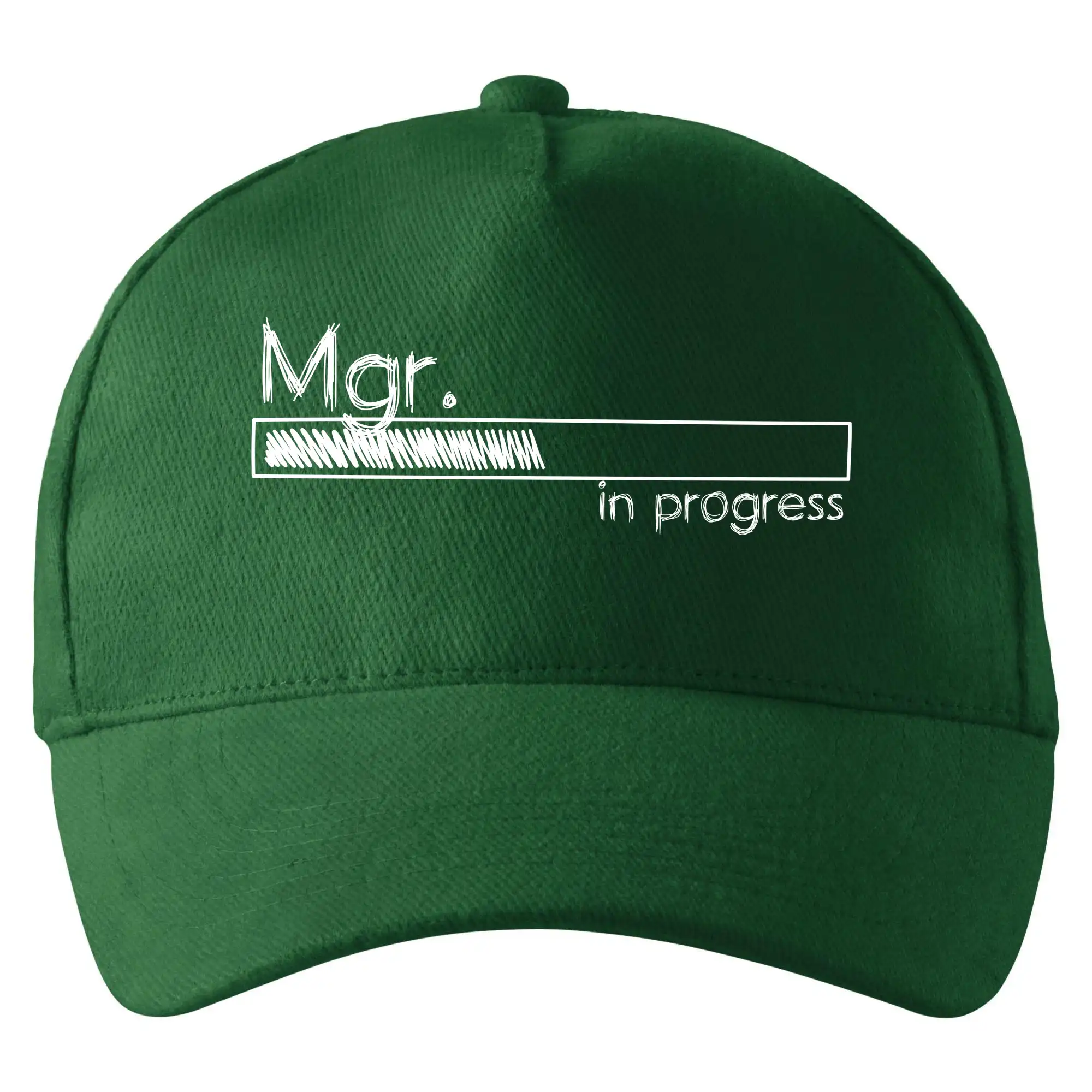In progress titul Mgr.  magistr / magistra