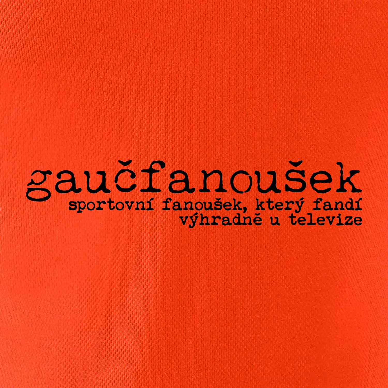 Čeština 2.0 - gaučfanoušek