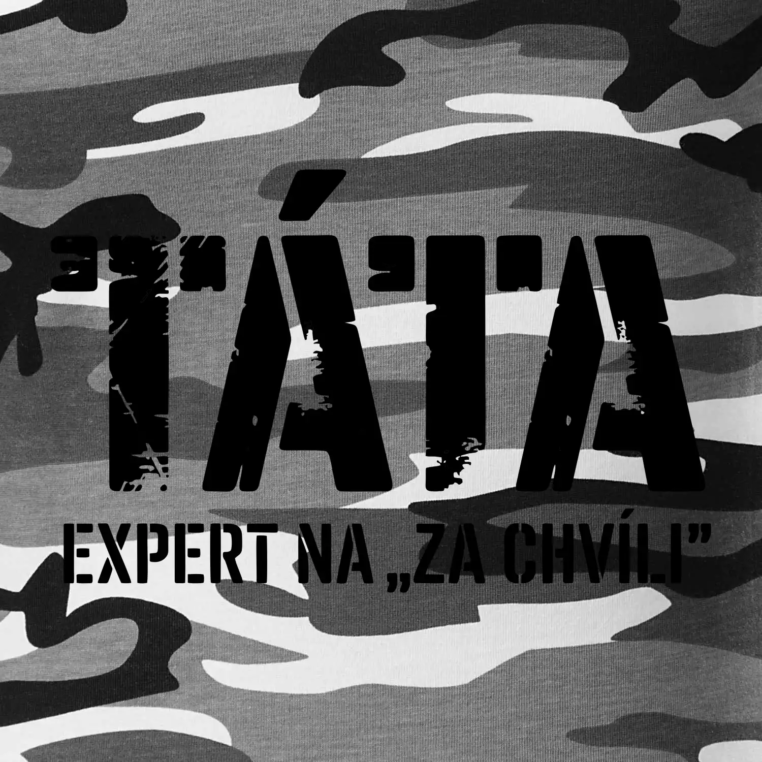 Táta - expert na za chvíli