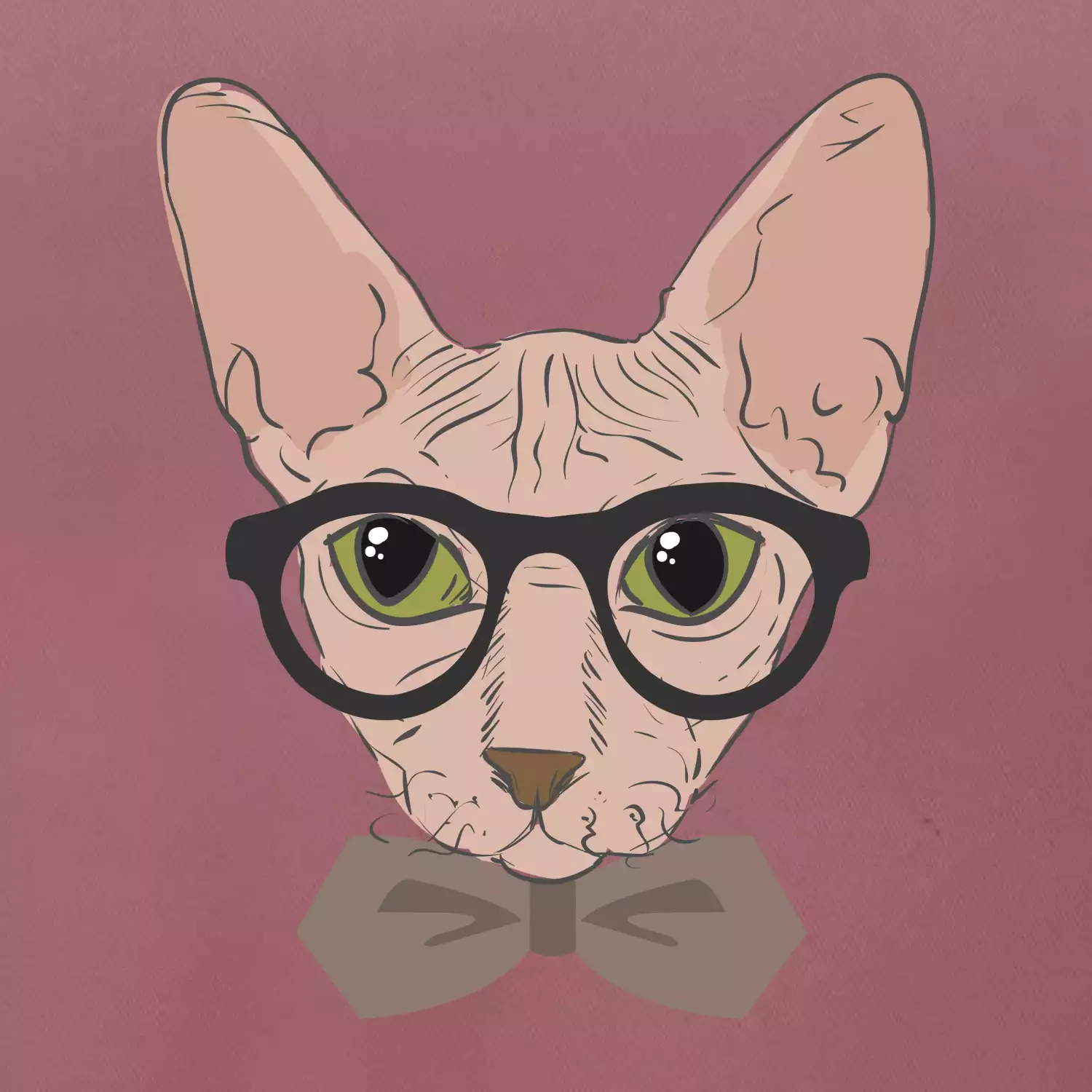 Hipster sphynx