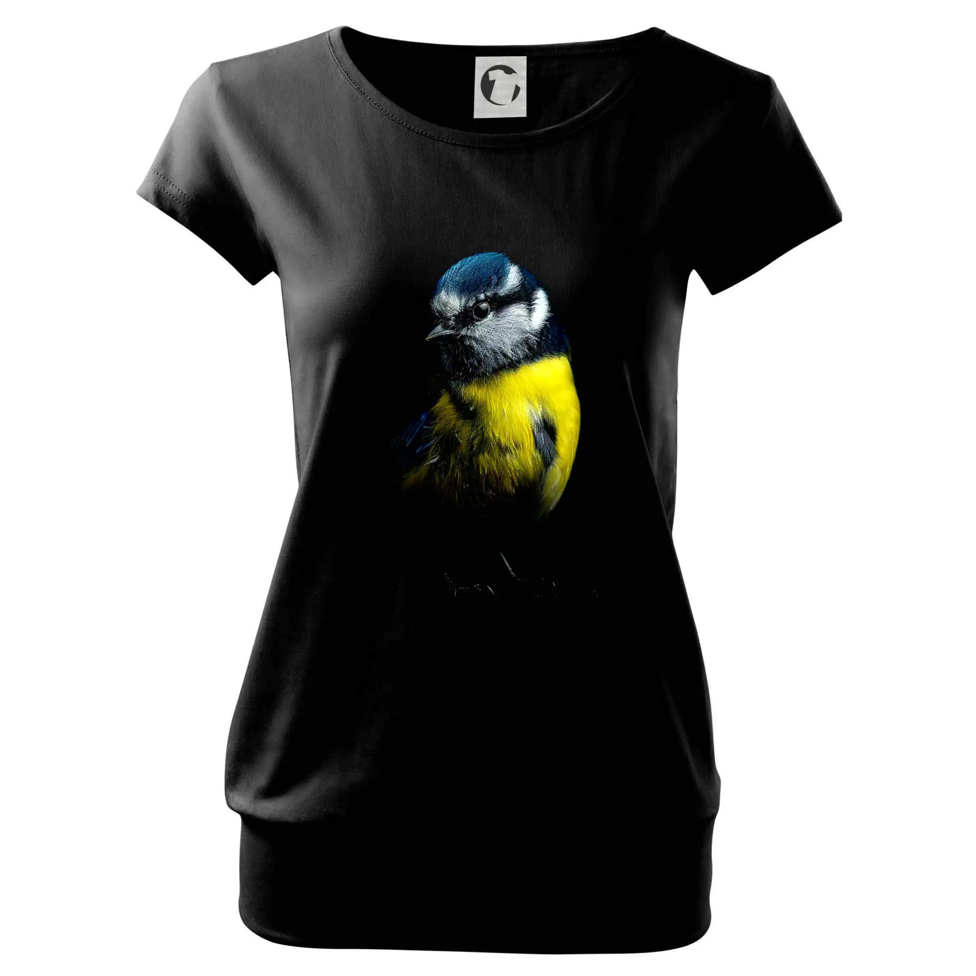 Sýkora modřinka černá fotka