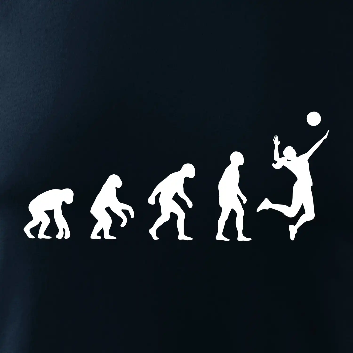 Evoluce volejbal culík