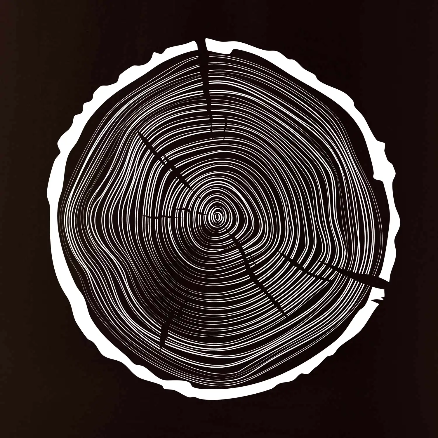 Letokruhy 50 bez věku