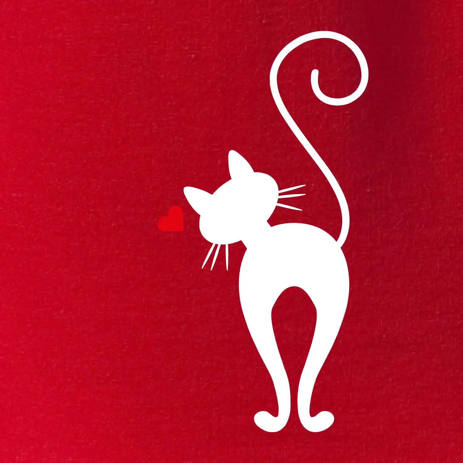 Zamilovaná kočka zezadu