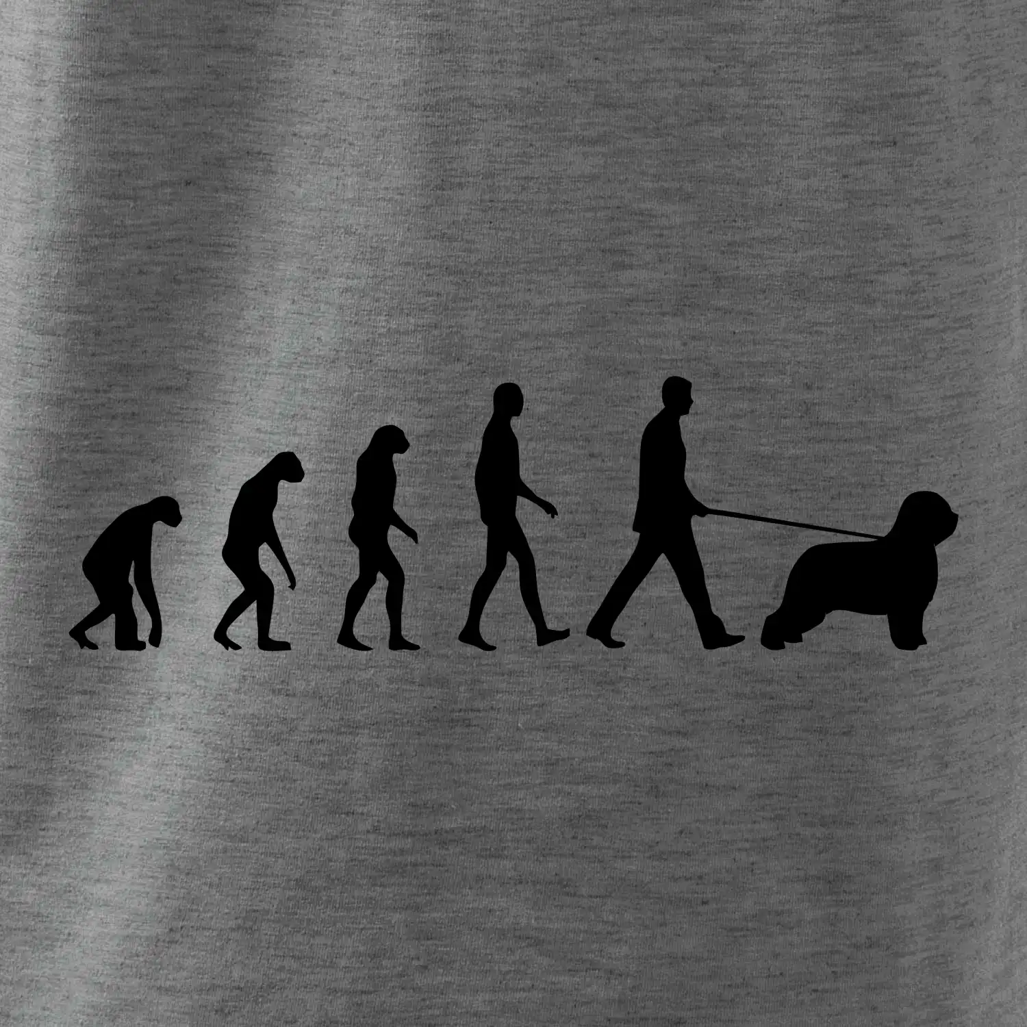 Evoluce pes Briard