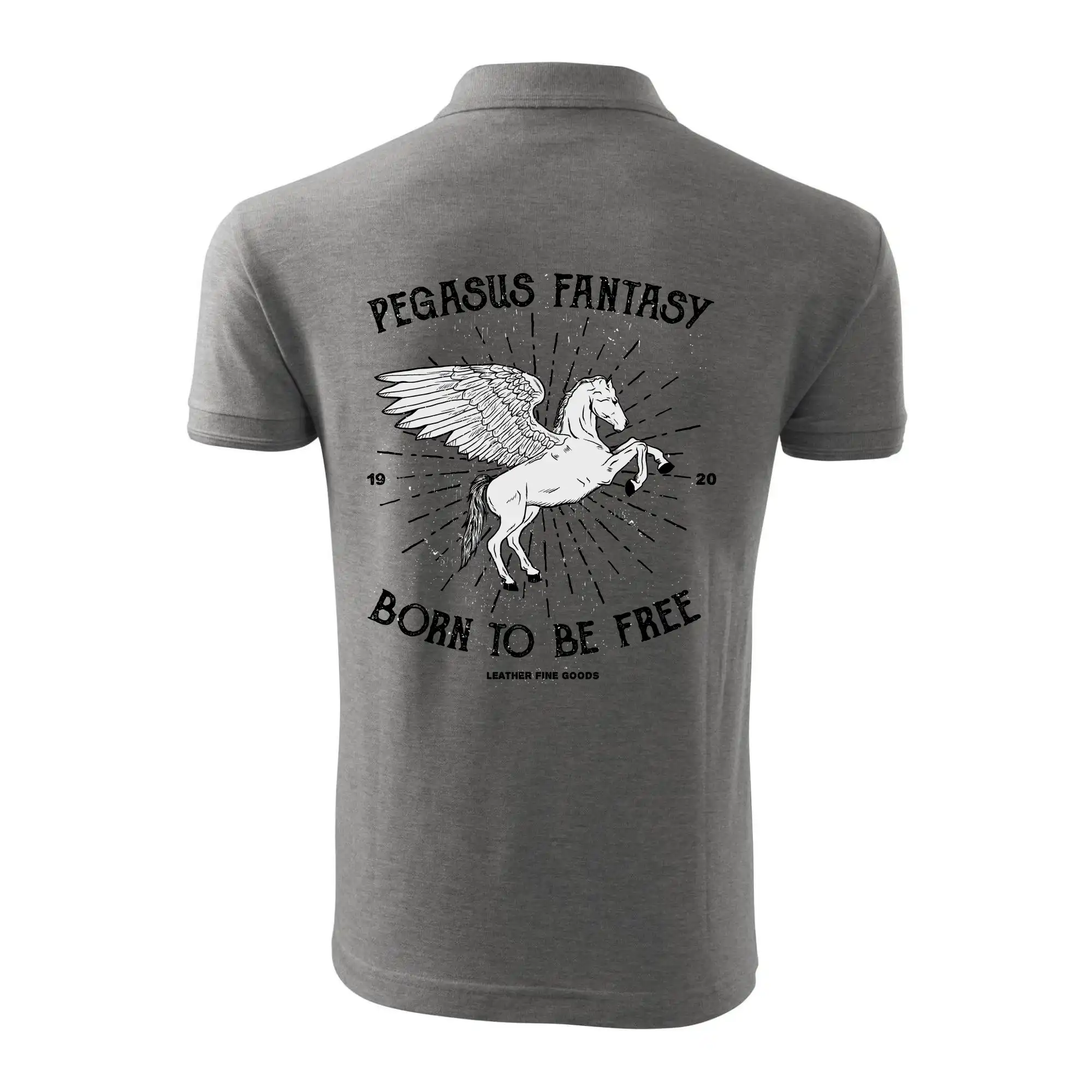 Pegasus fantasy