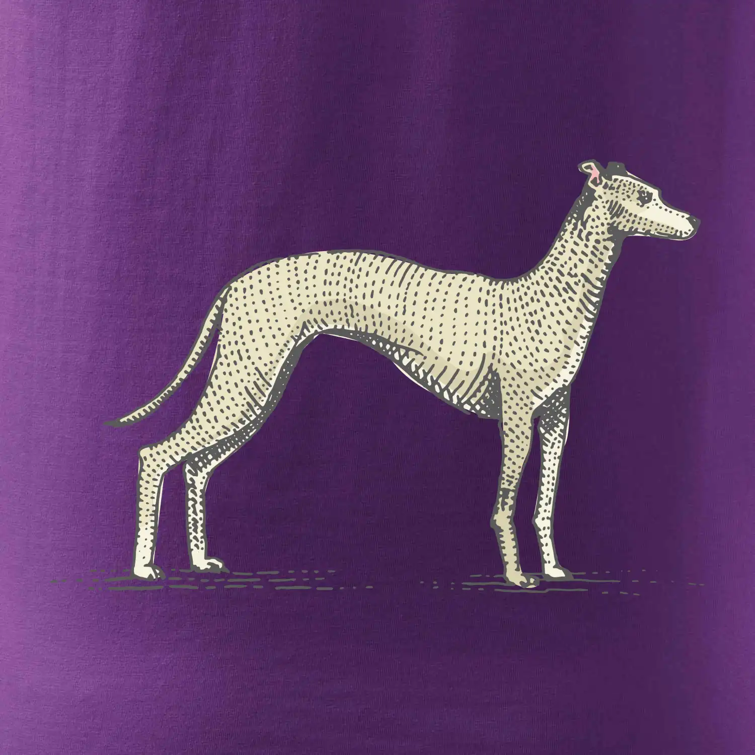 Vintage Whippet
