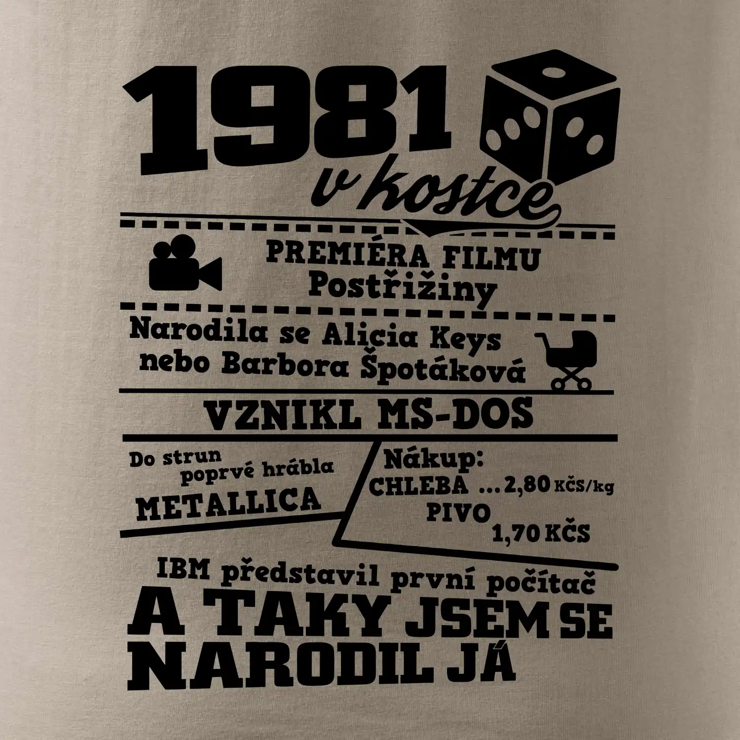 1981 v kostce