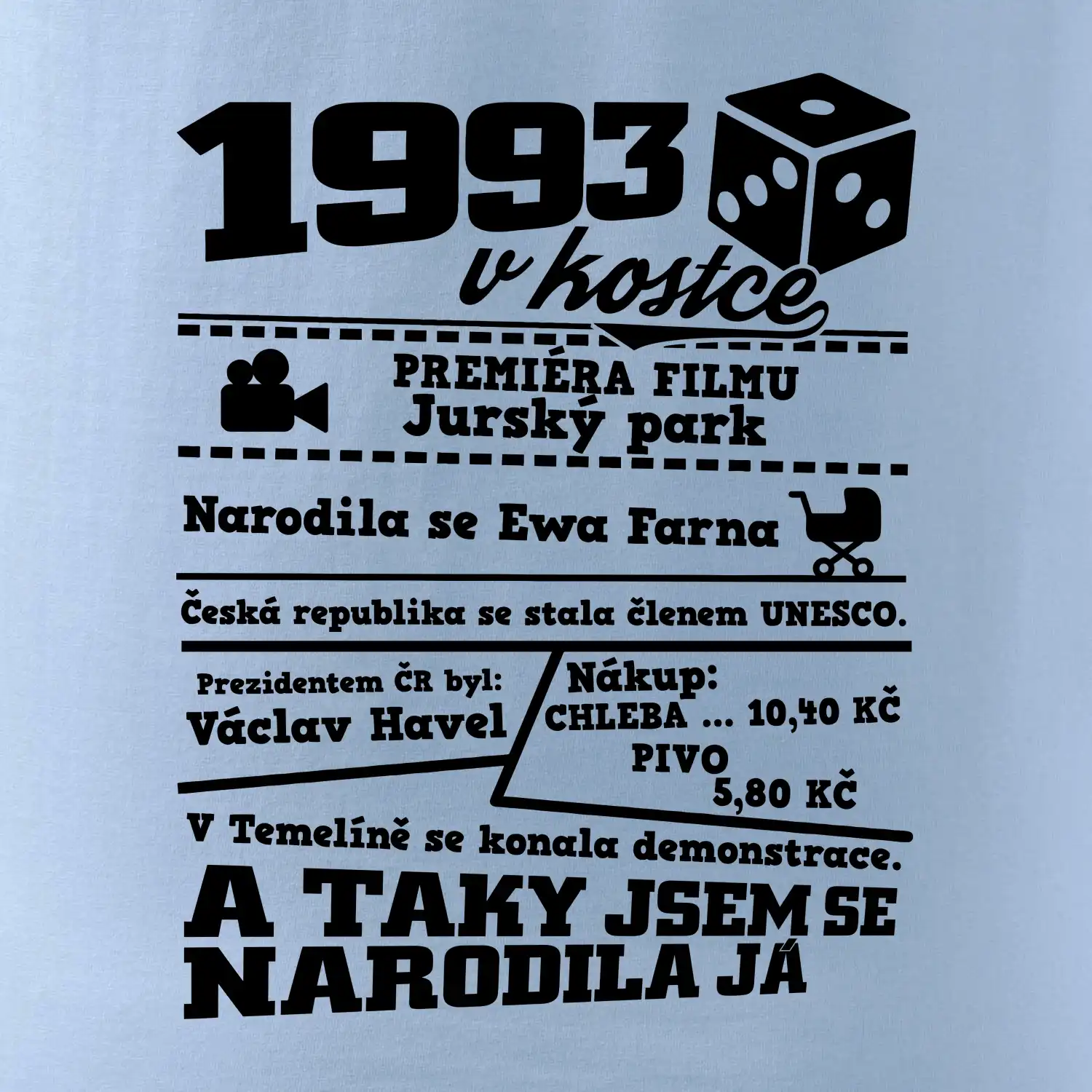 1993 v kostce