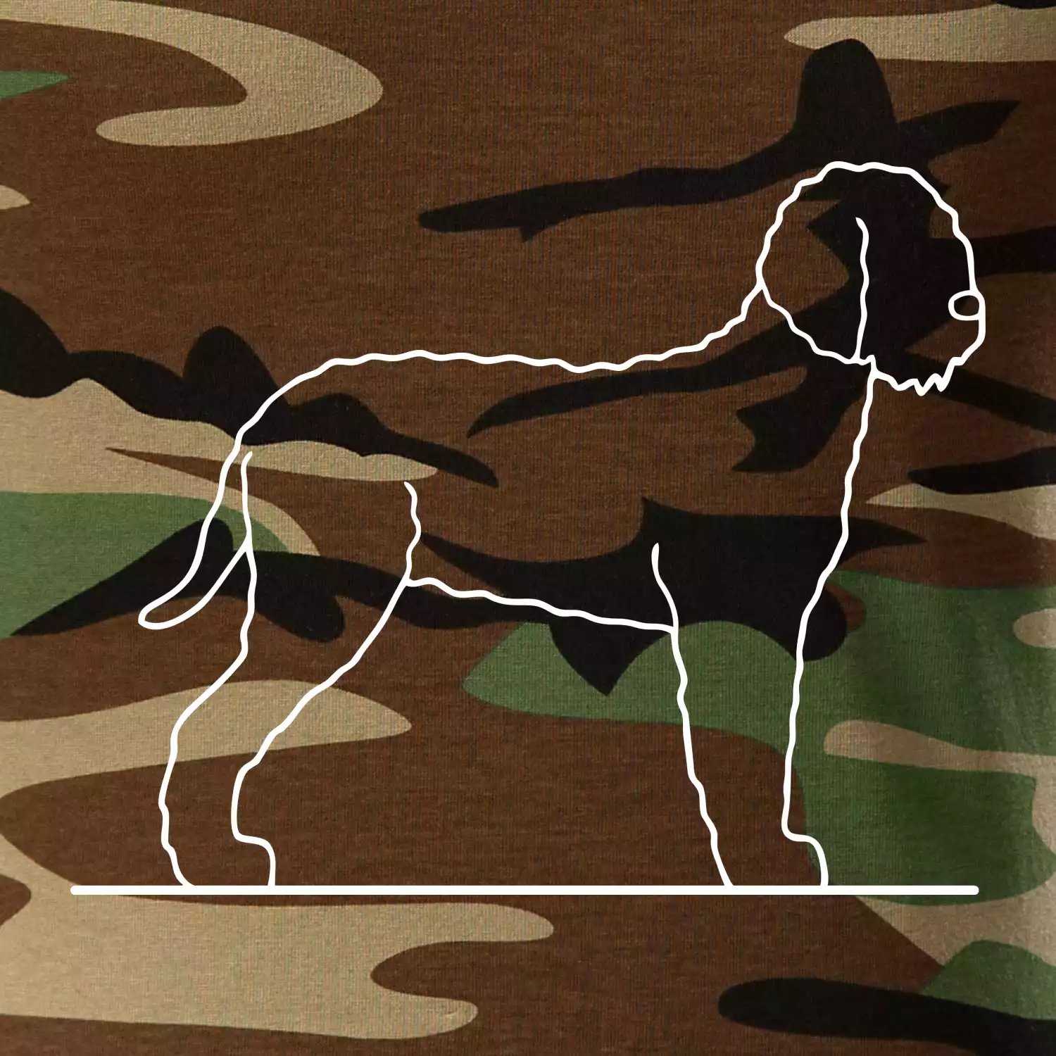 Lagotto romagnolo stojící