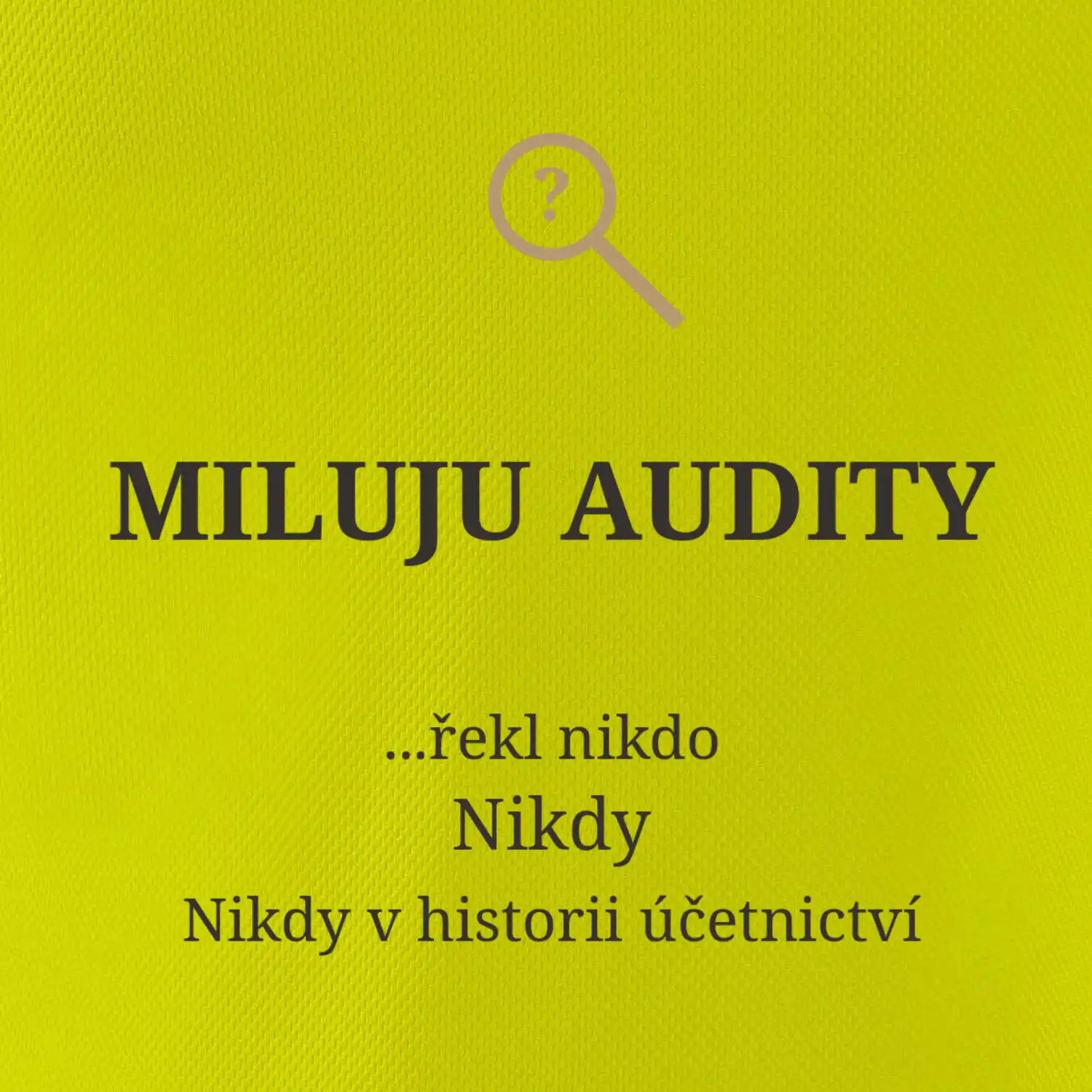 Miluju audity řekl nikdo nikdy
