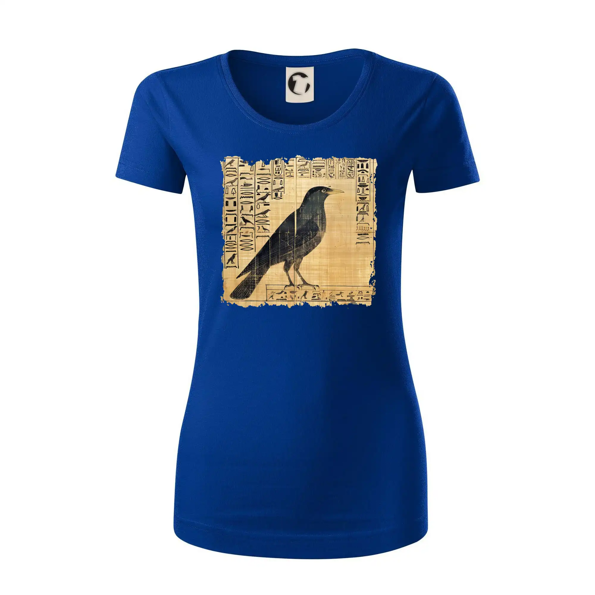 Egyptské hieroglyfy pták