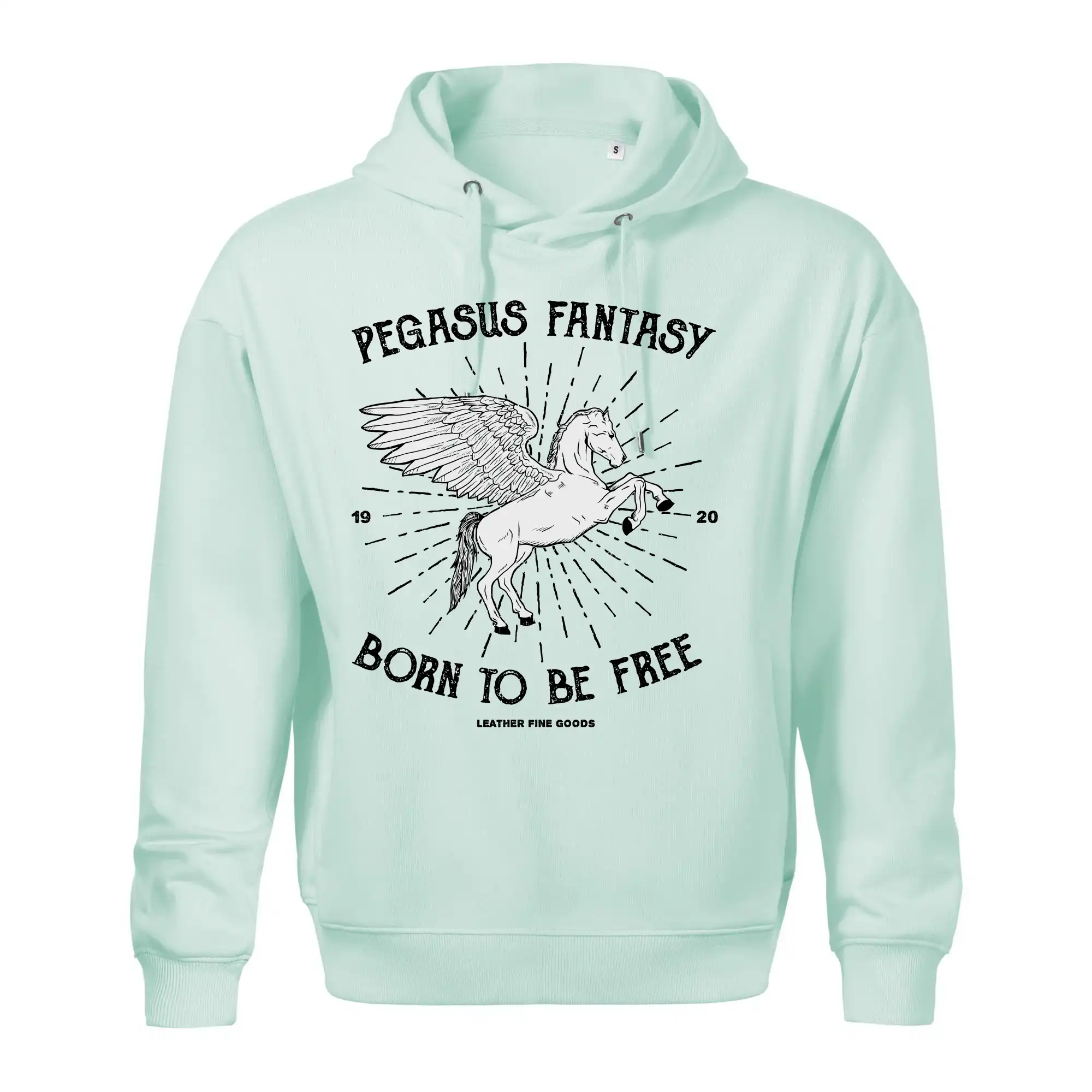 Pegasus fantasy