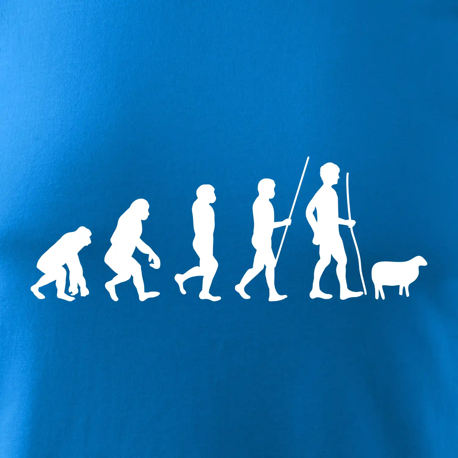 Evoluce pastevec ovcí