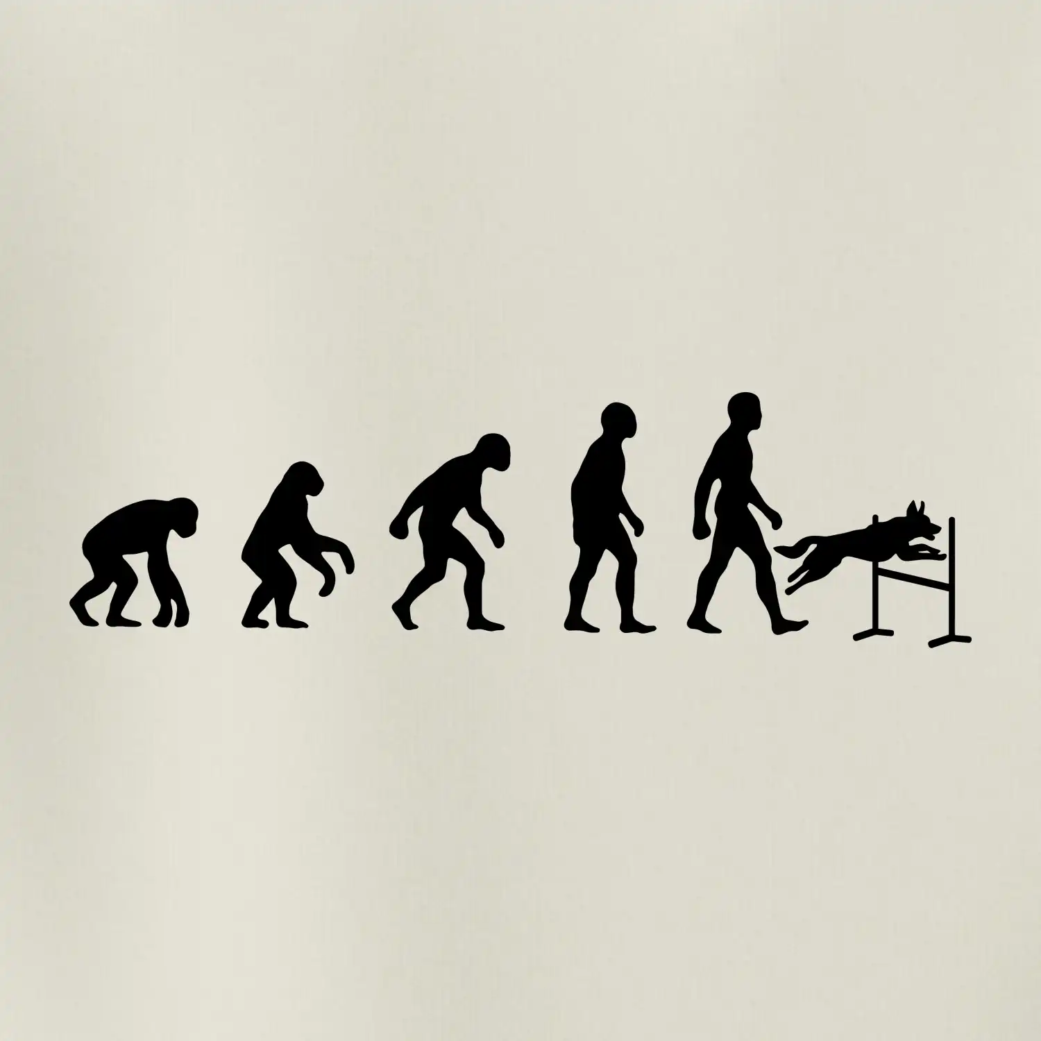 Evoluce agility muž