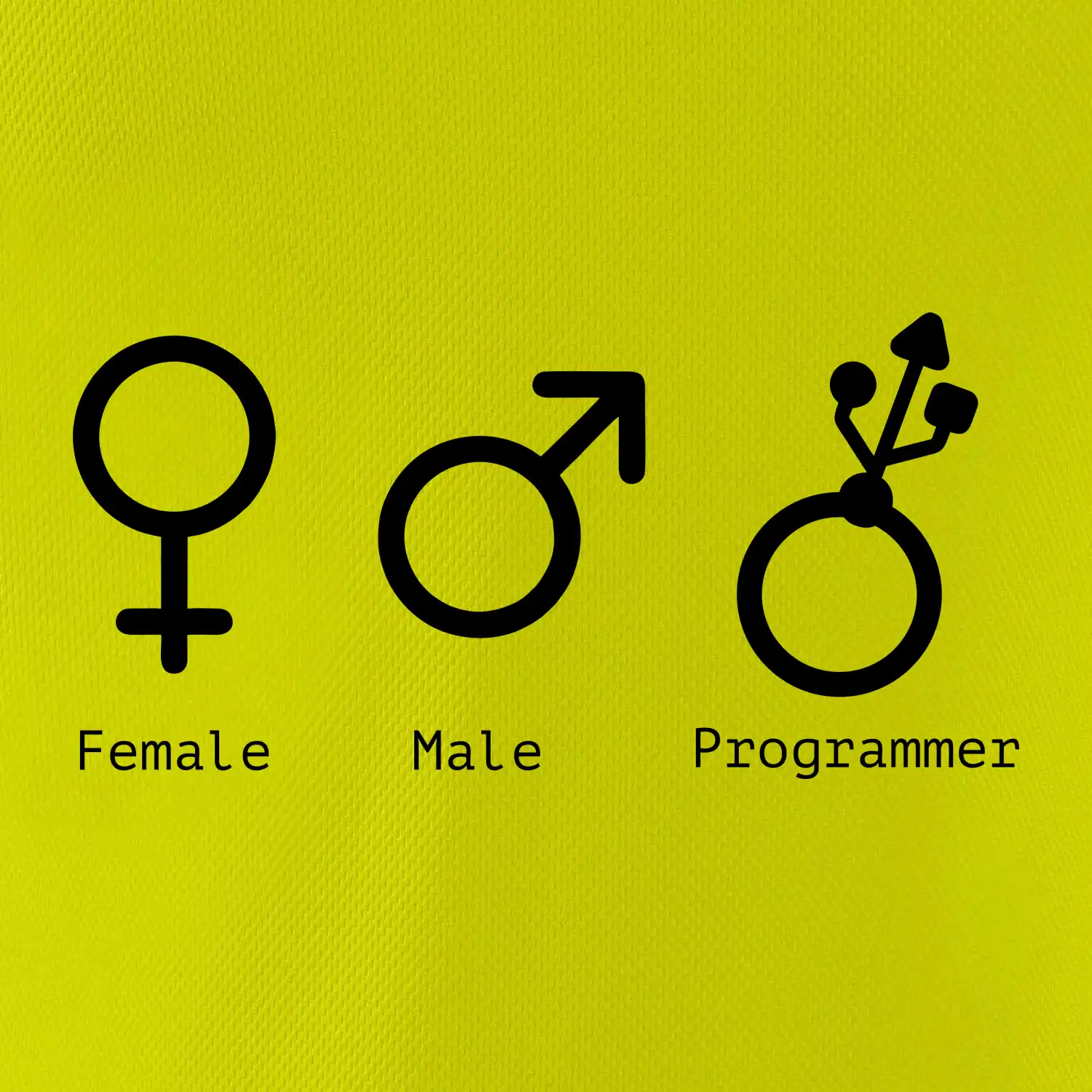 Female male programmer