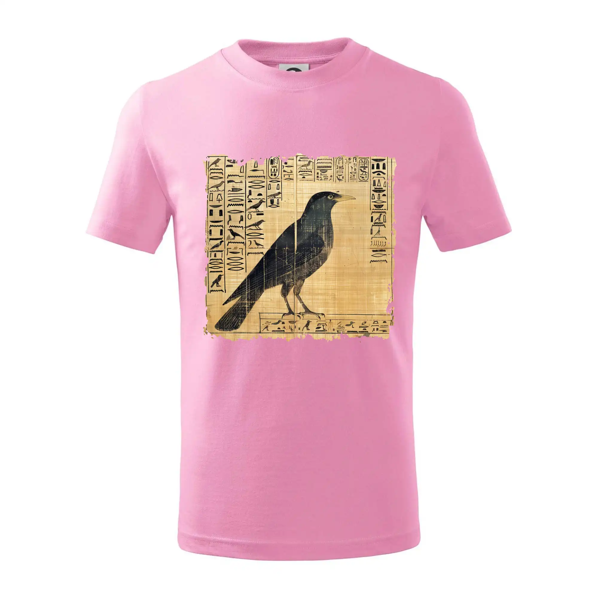 Egyptské hieroglyfy pták