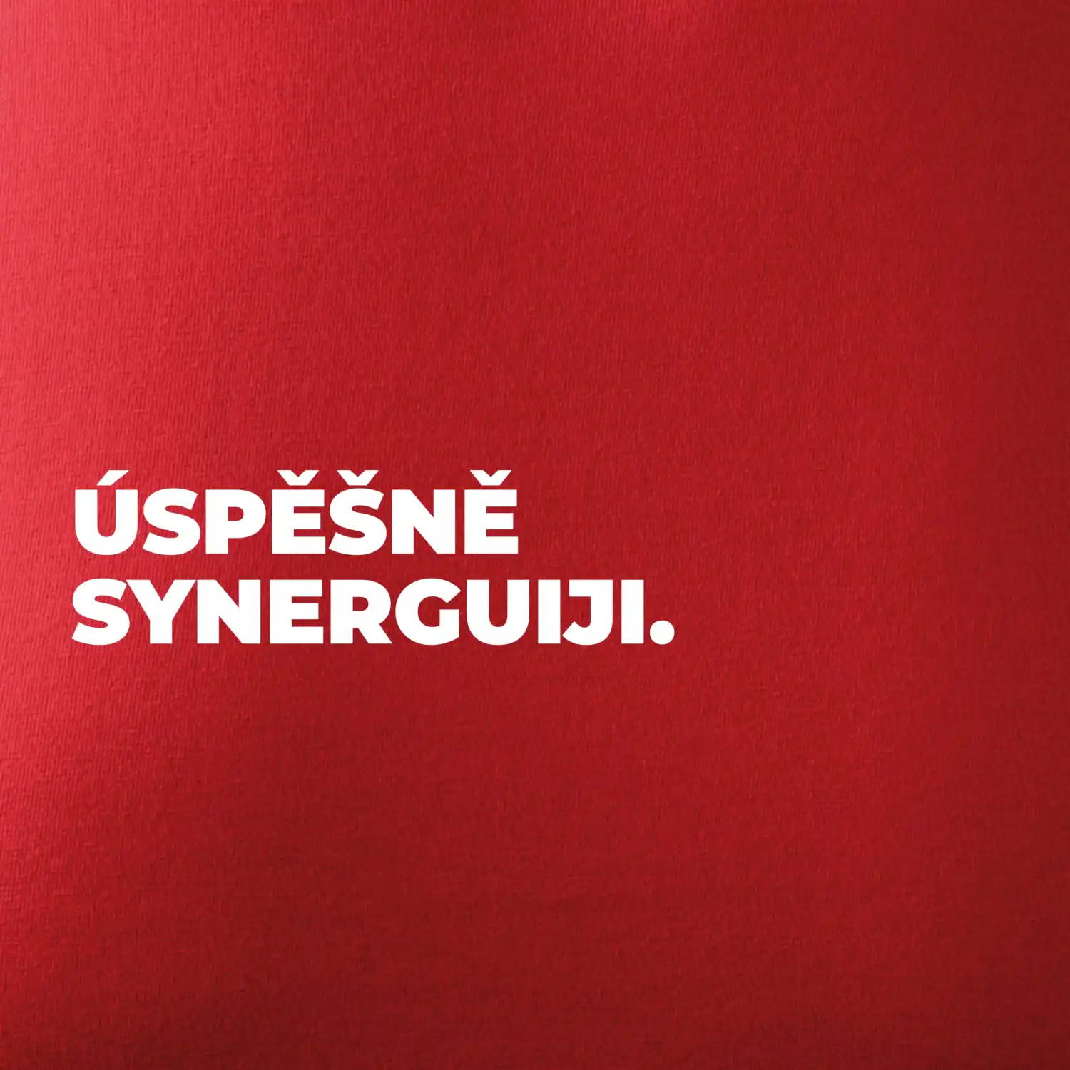 ÚSPĚŠNĚ SYNERGUIJI.
