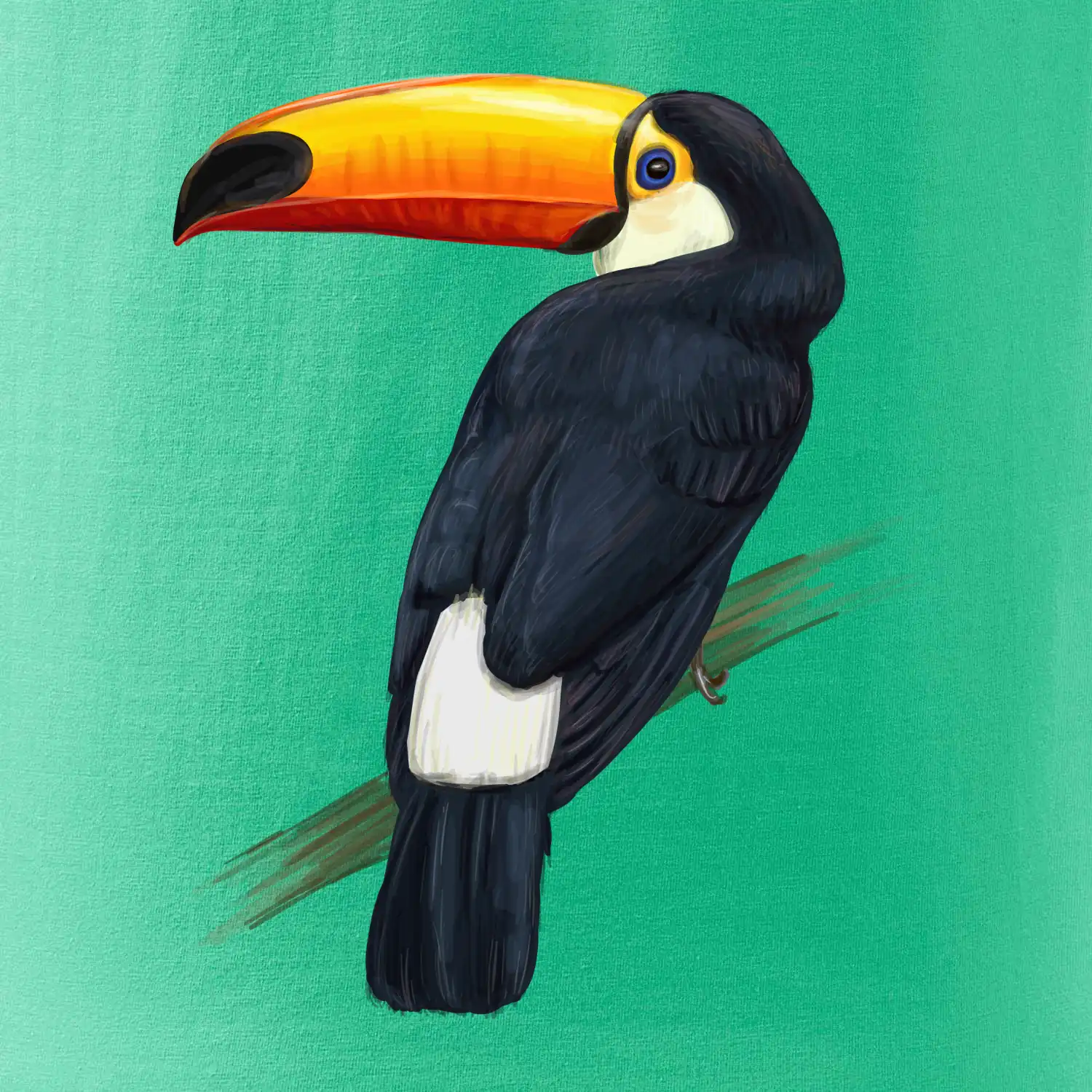 Tukan kreslený