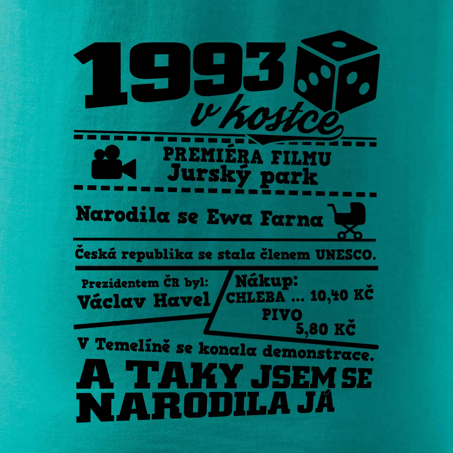1993 v kostce