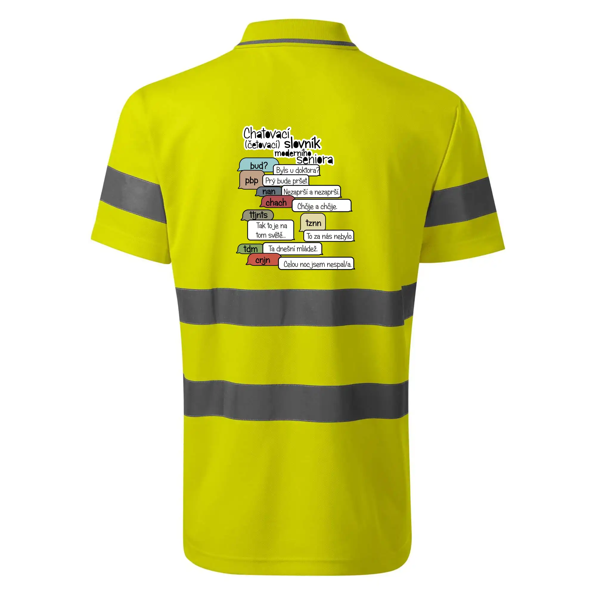 Chatovací slovník moderního seniora (Běžící češtinář)