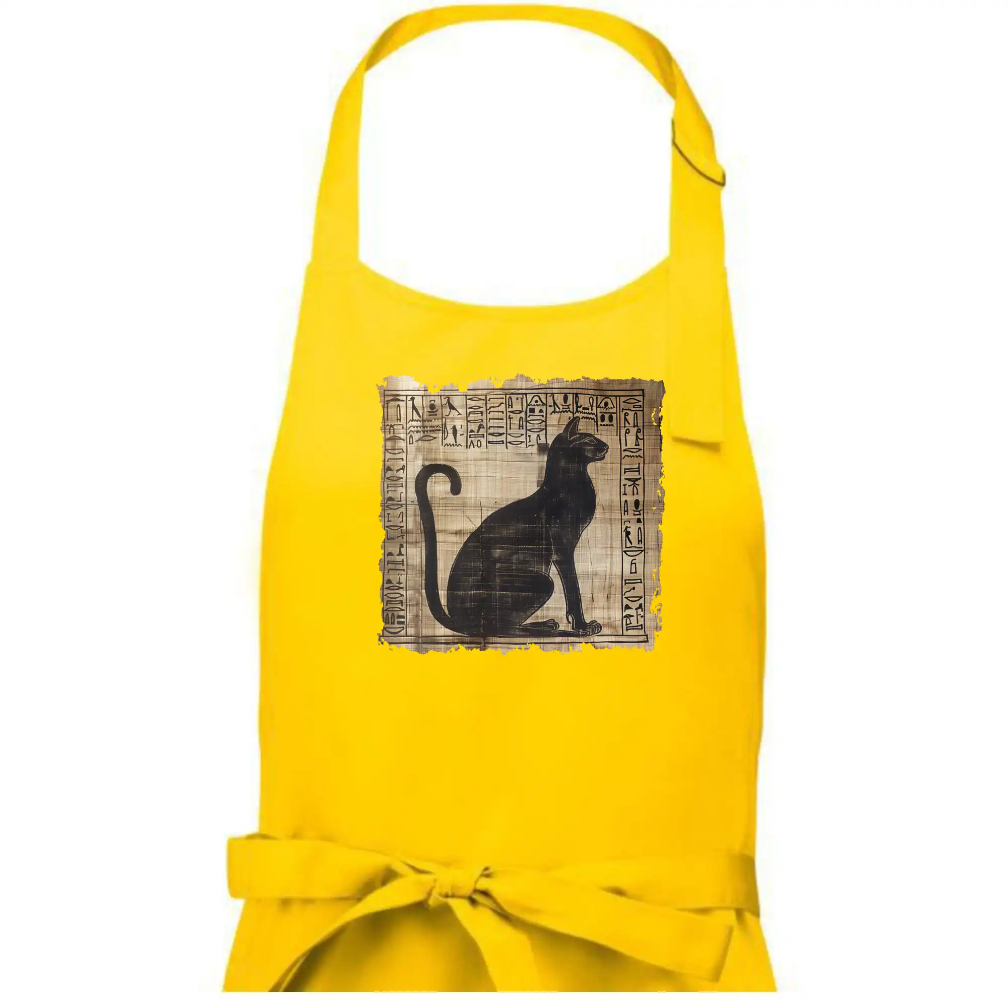 Egyptské hieroglyfy kočka