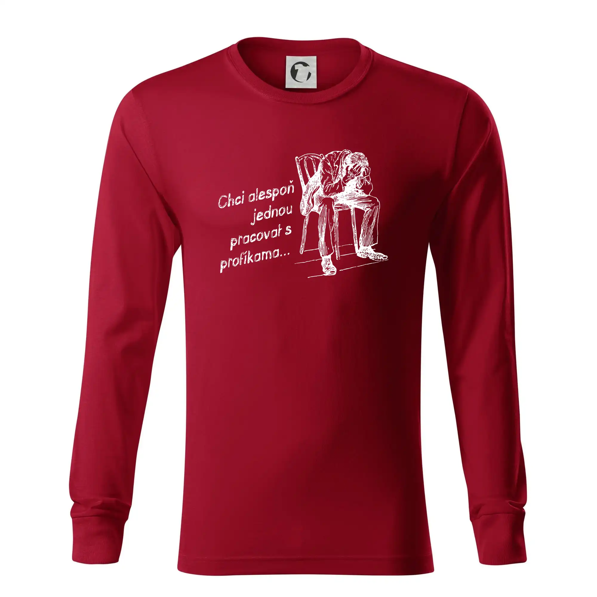 Chci alespoň jednou pracovat s profíkama