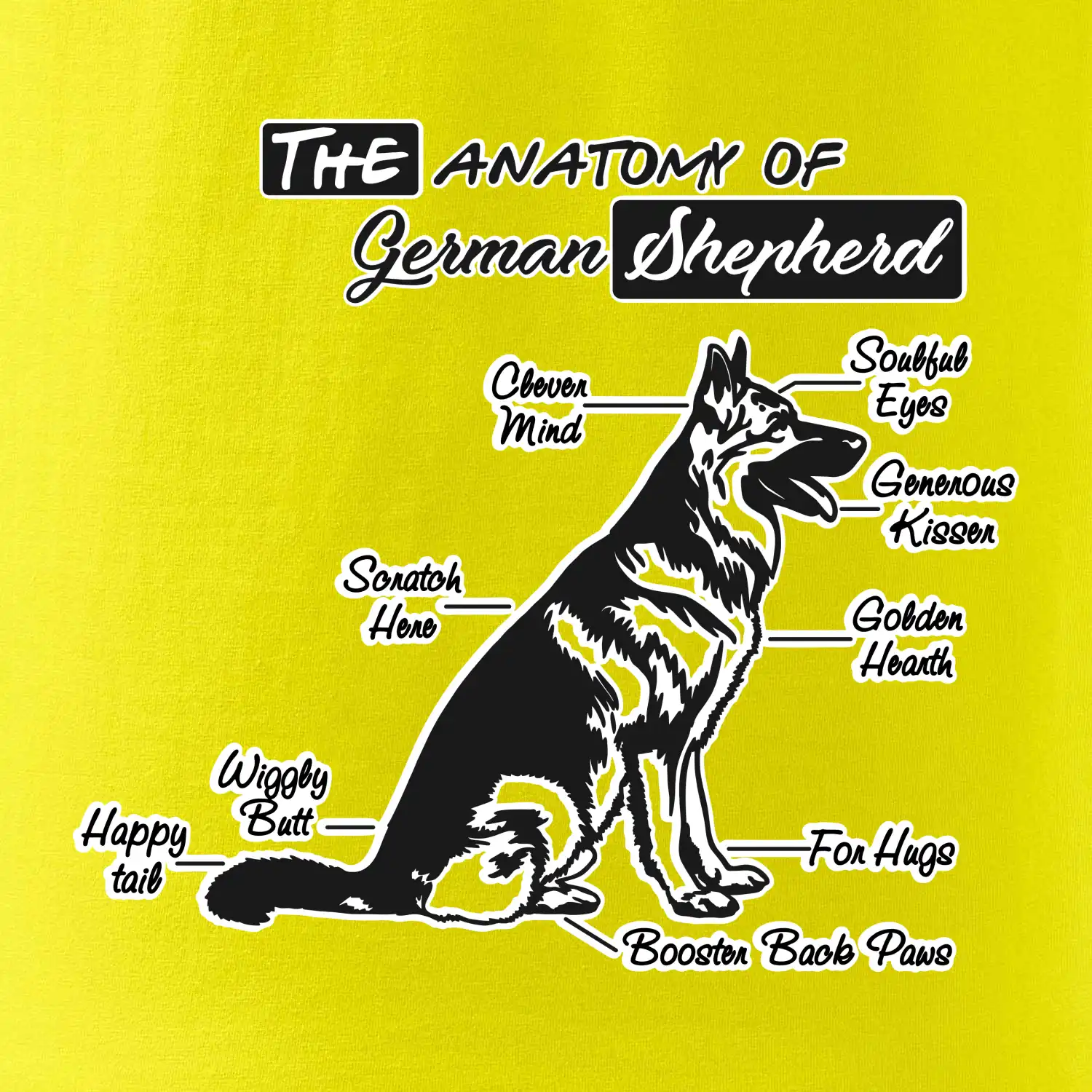 Německý ovčák - Anatomie