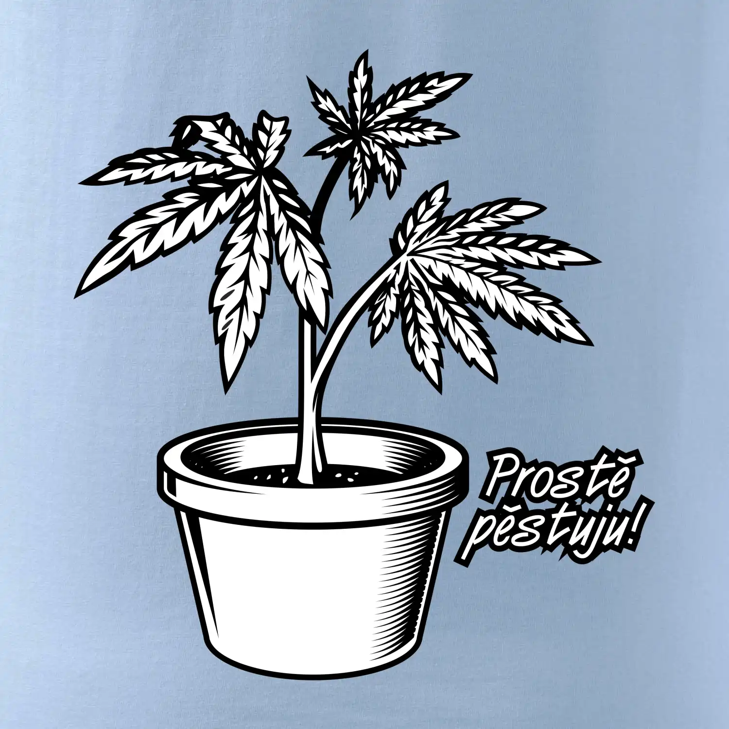 Konopi prostě pěstuju