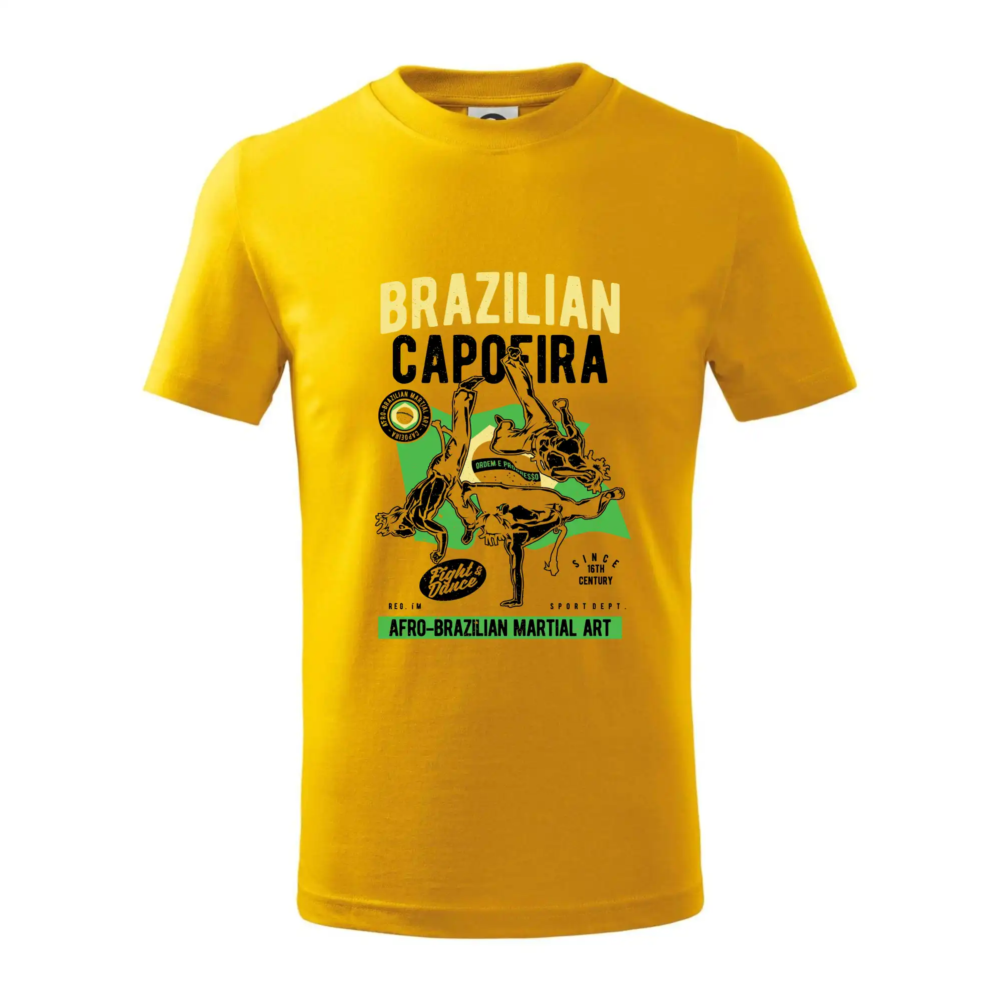 Brazilian Capoeira