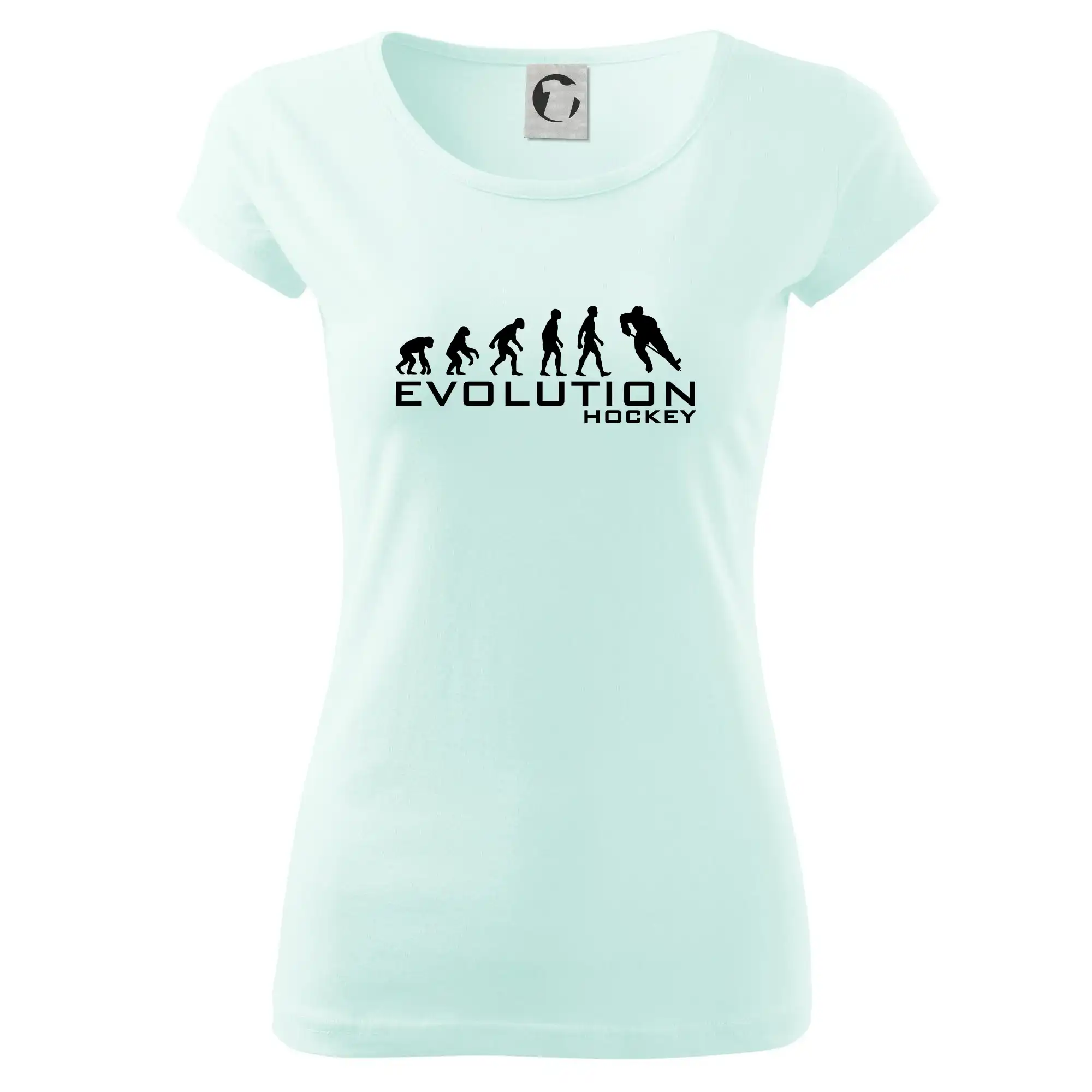 Evoluce Hockey - hráč