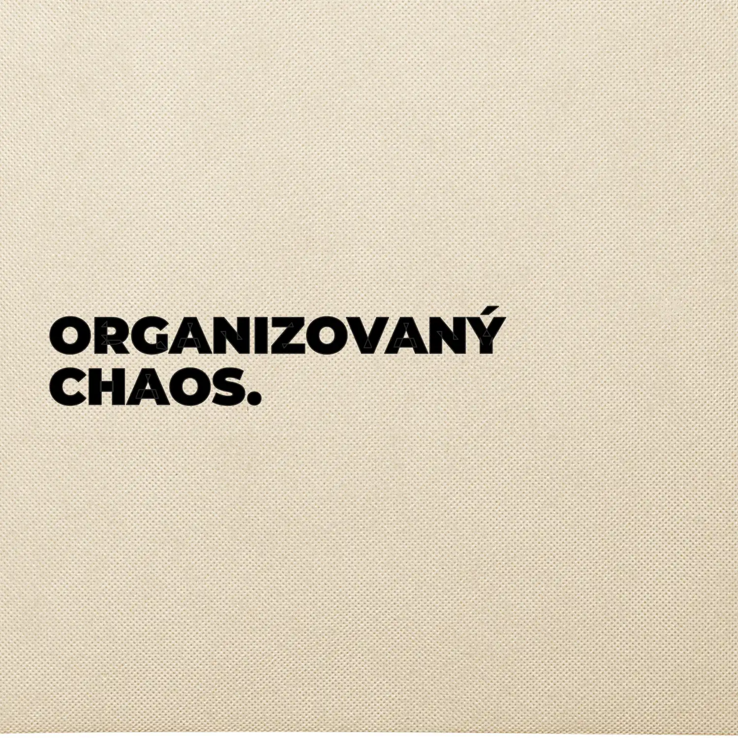 ORGANIZOVANÝ CHAOS.
