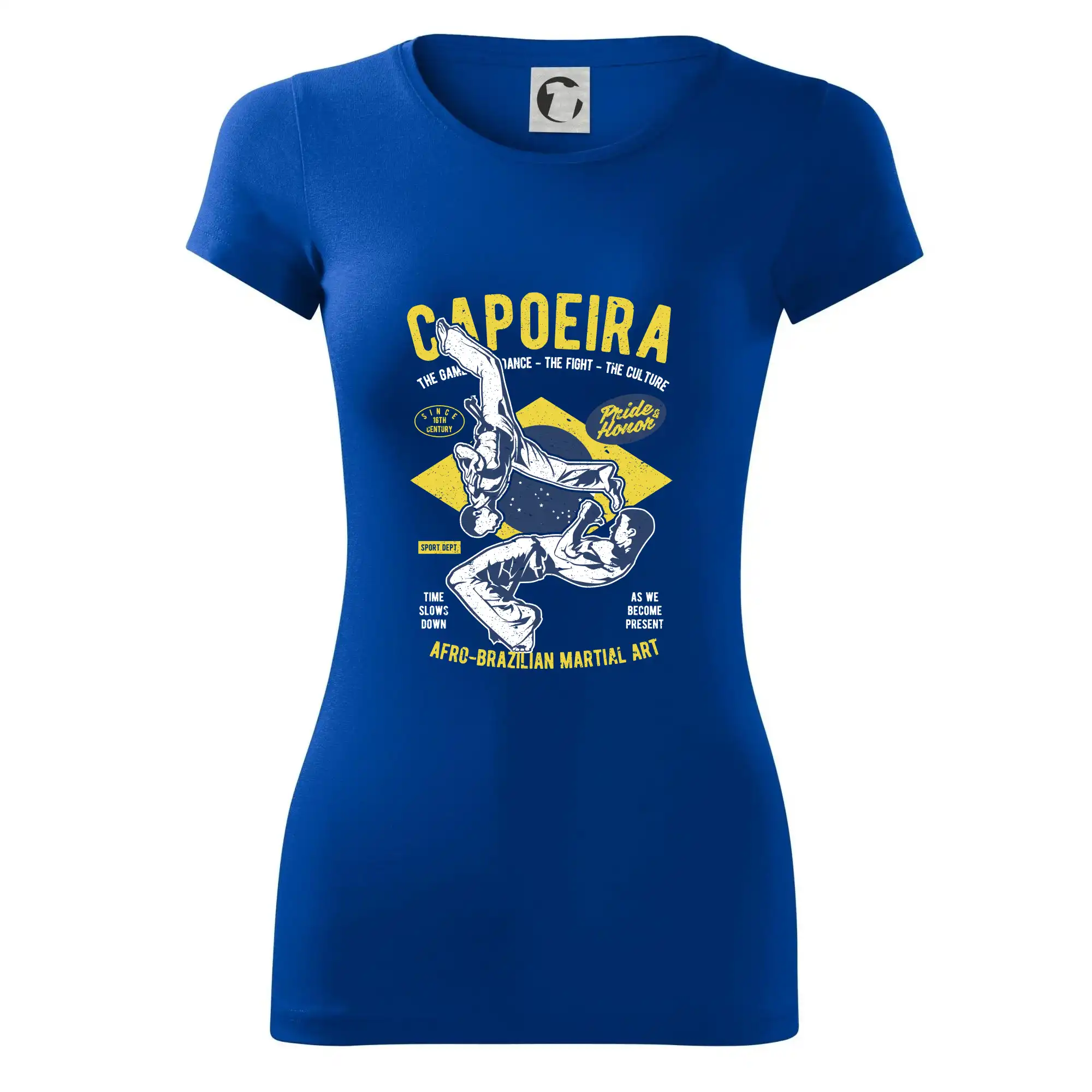 Capoeira  Afro-brazil art