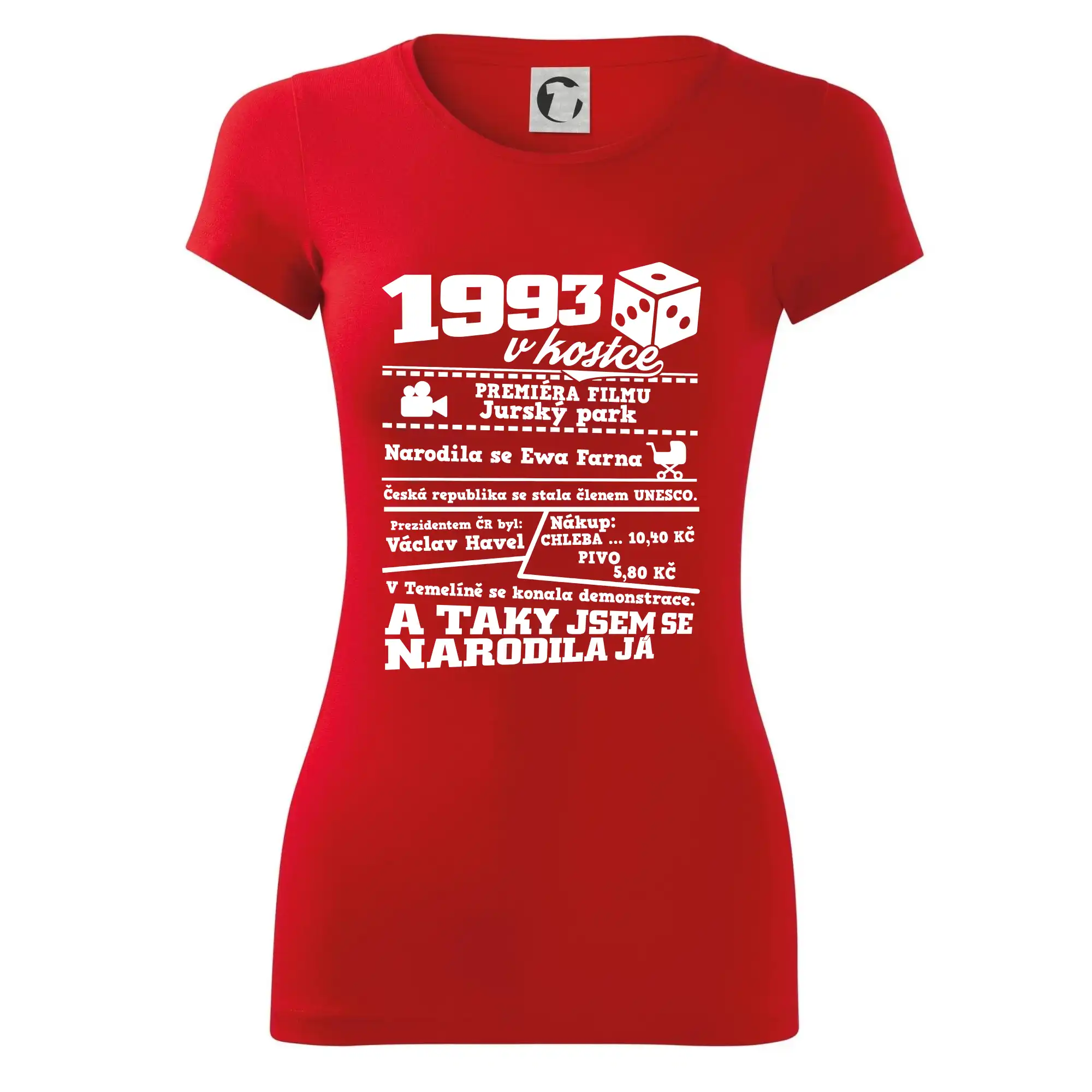 1993 v kostce