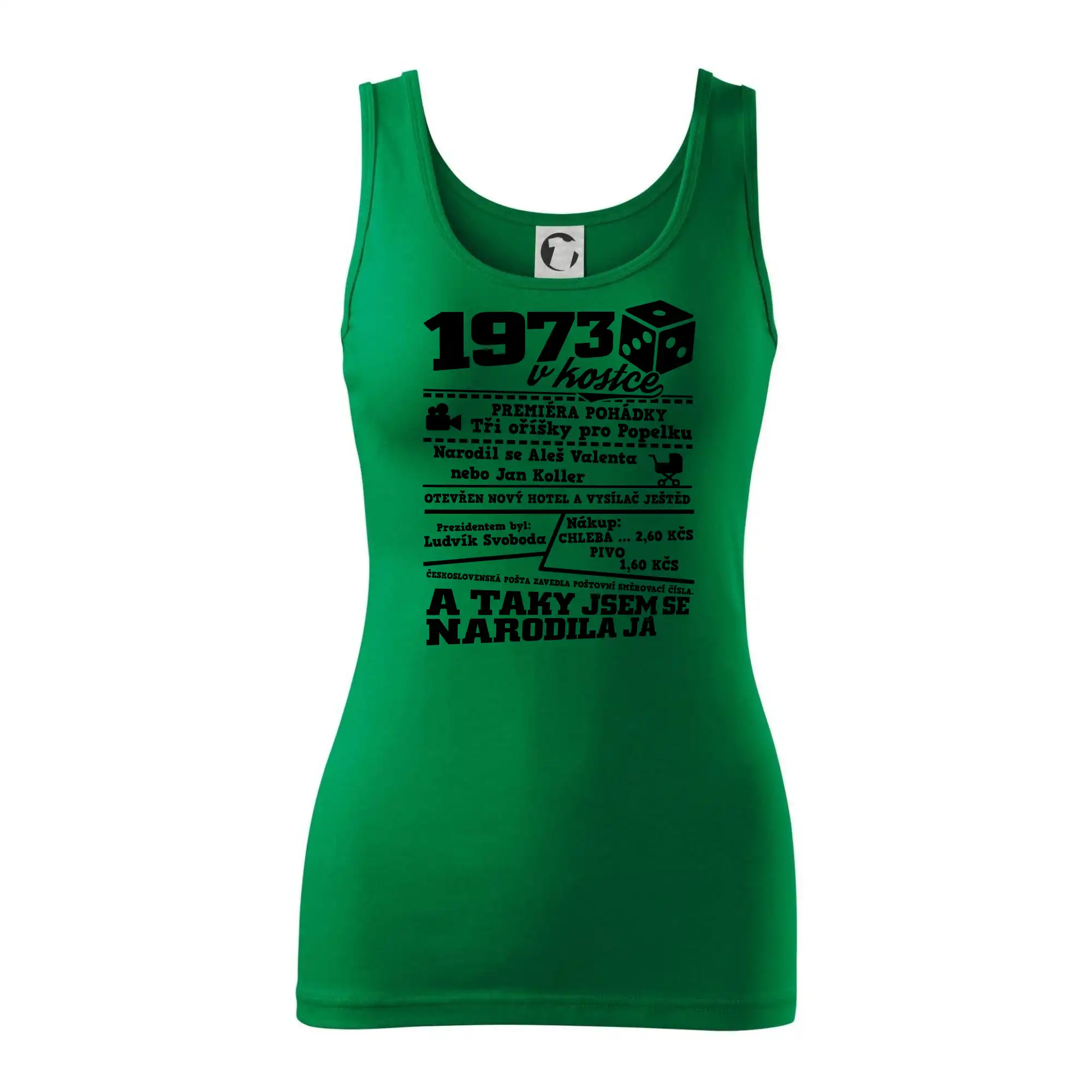 1973 v kostce