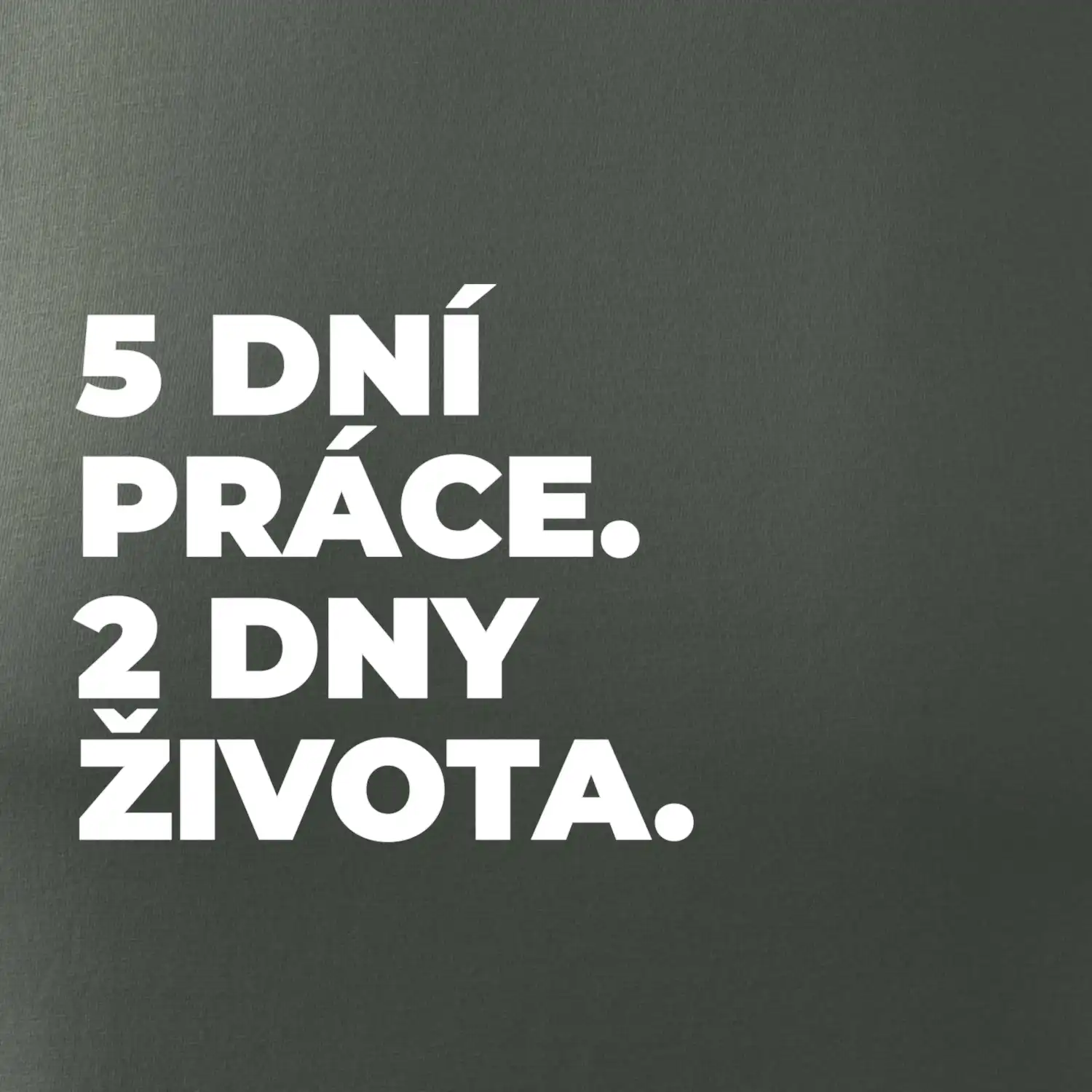 5 DNÍ PRÁCE.  2 DNY ŽIVOTA.