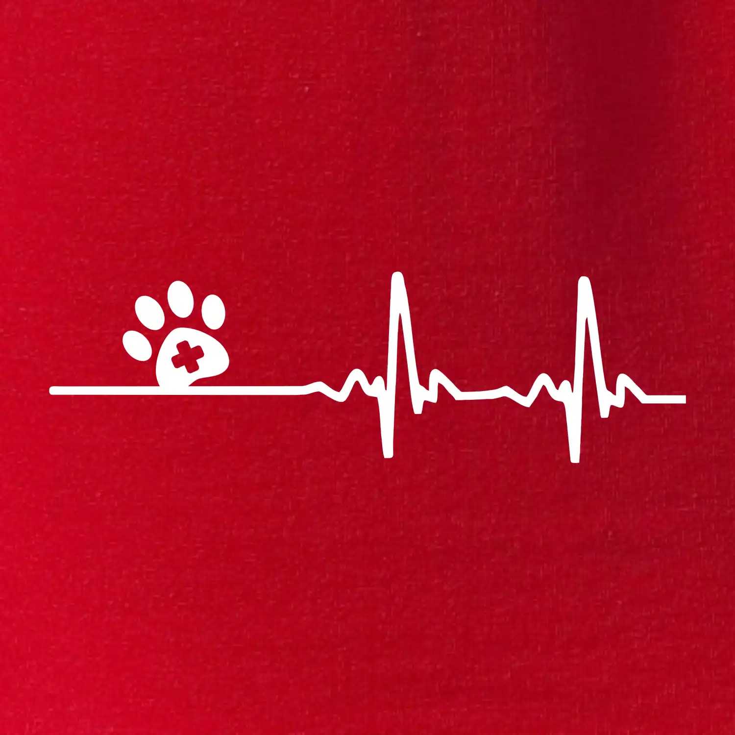 Veterinář EKG