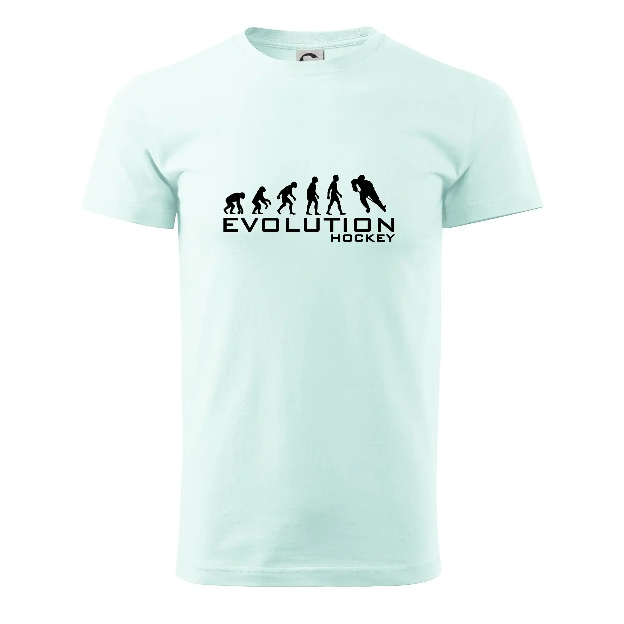Evoluce Hockey - hráč