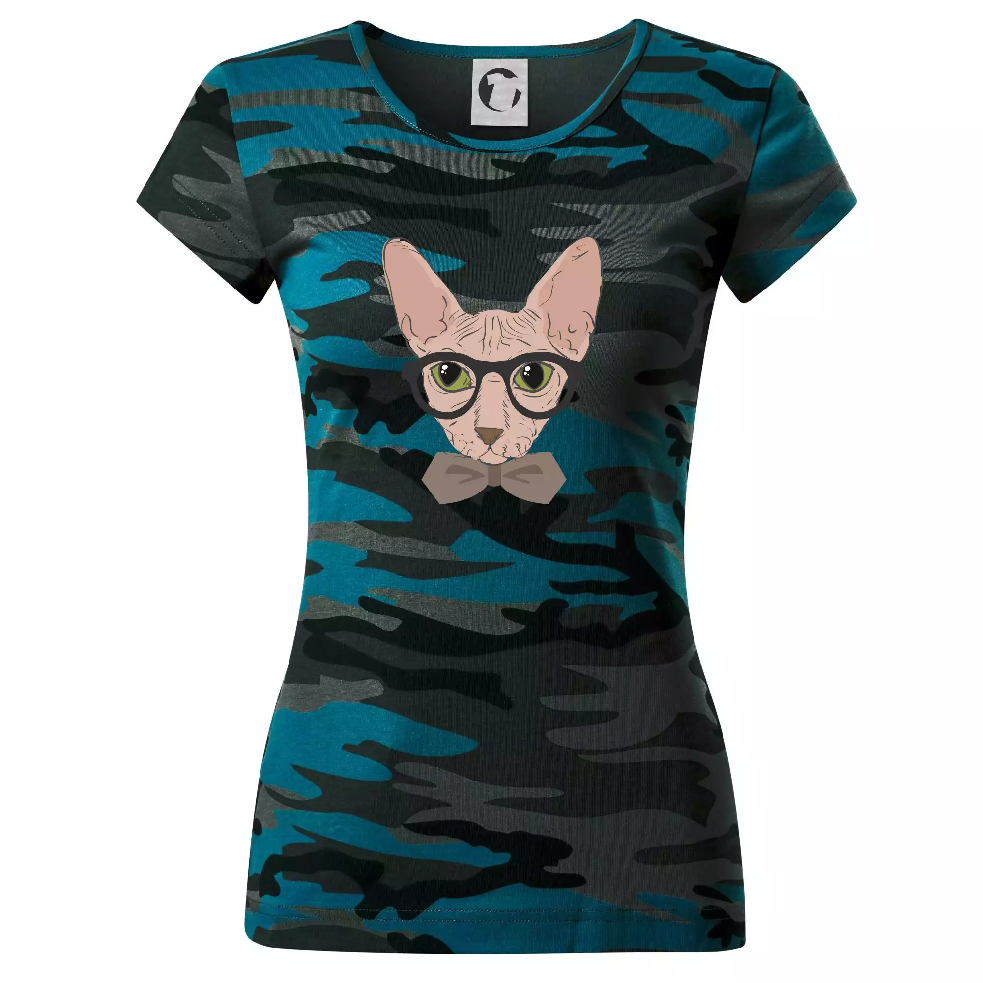 Hipster sphynx