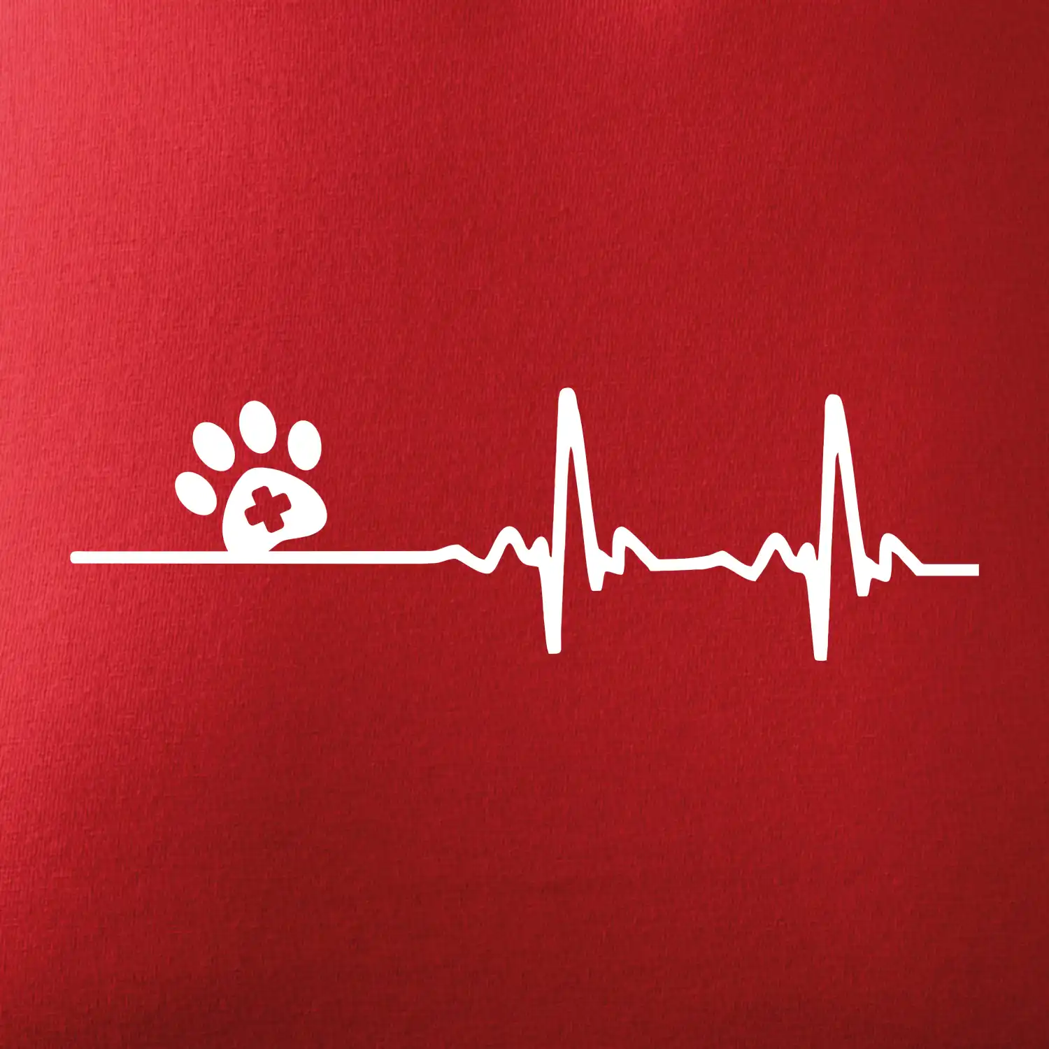 Veterinář EKG