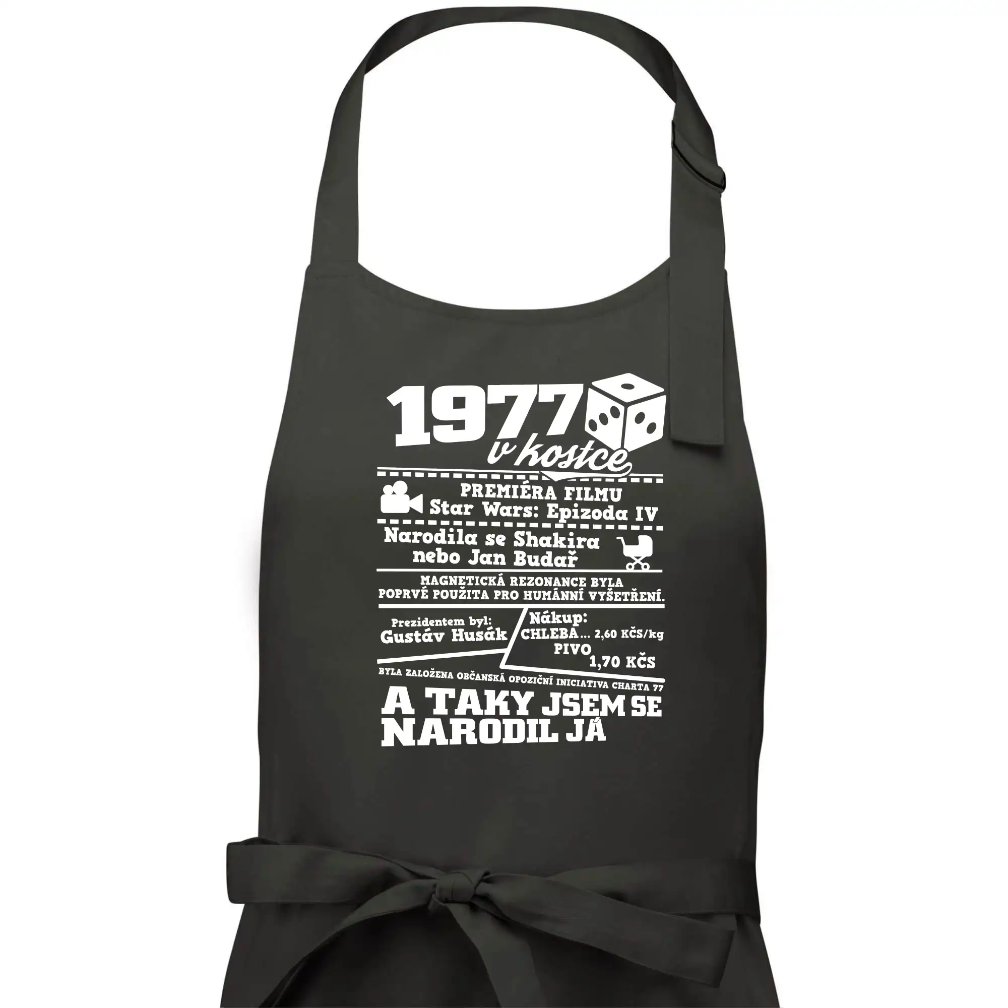 1977 v kostce