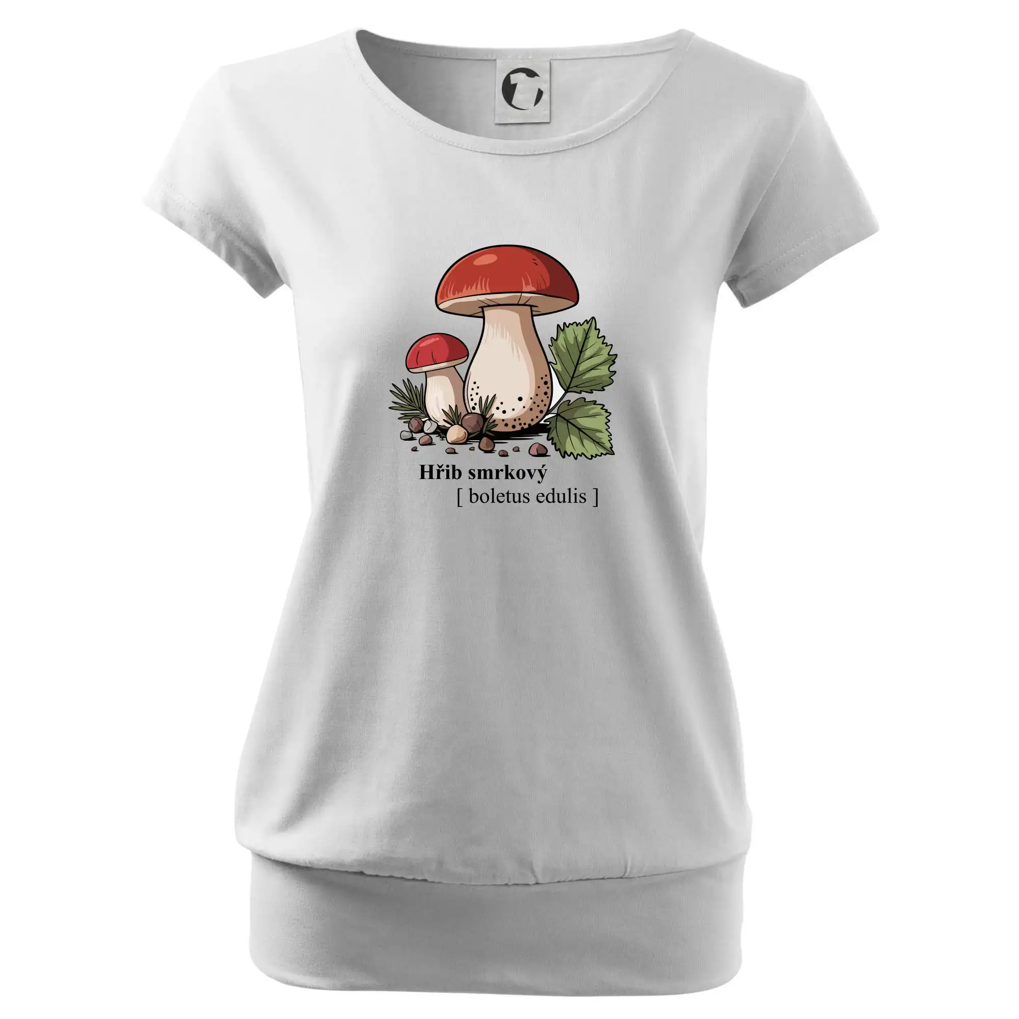 Hřib smrkový - Boletus edulis kreslený