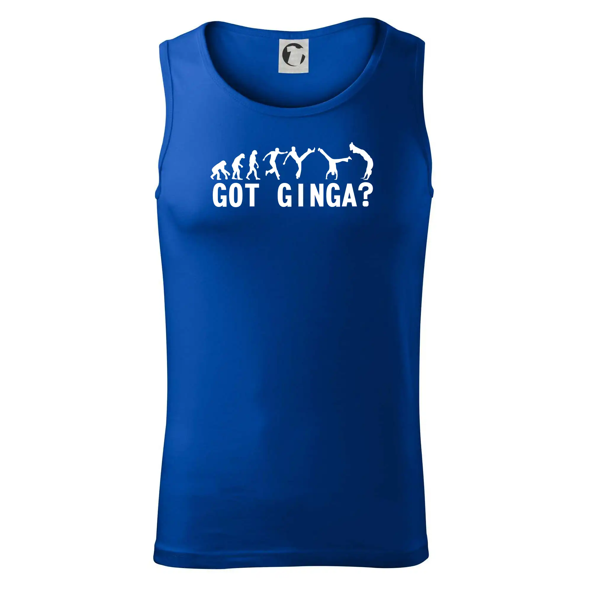 Capoeira - Got Ginga