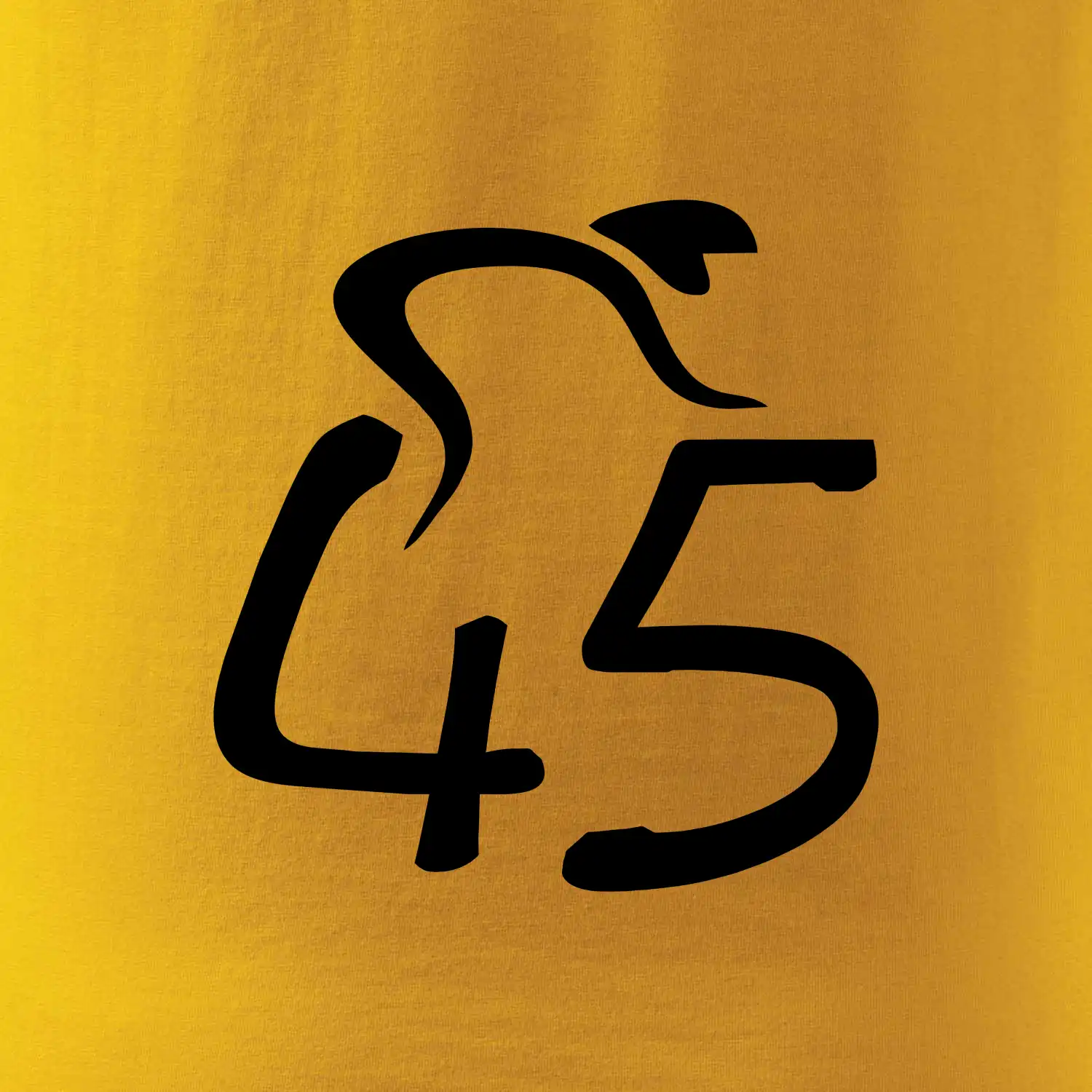 Cyklista slaví pětačtyřicítku (45)