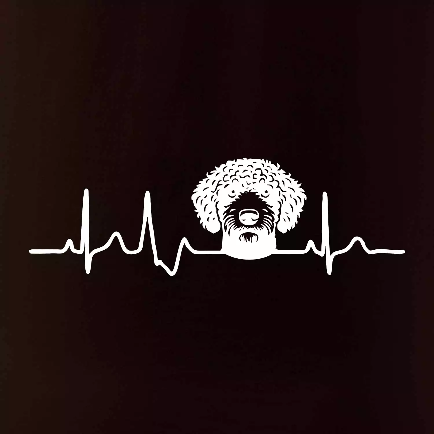 Lagotto romagnolo hlava EKG