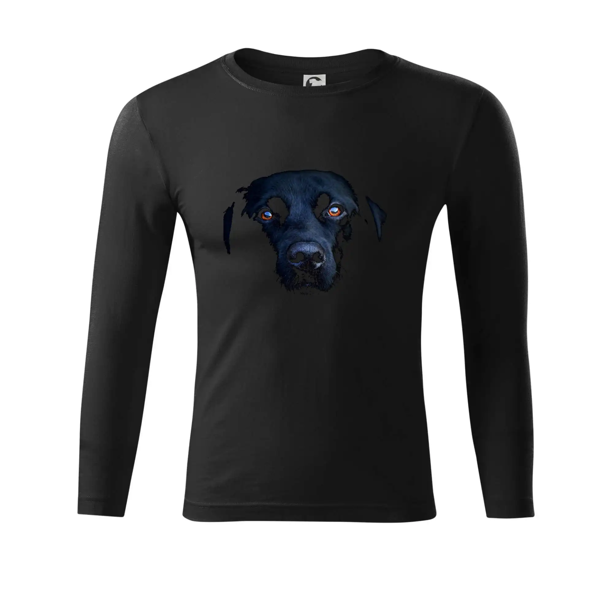 Černý Labrador fotka