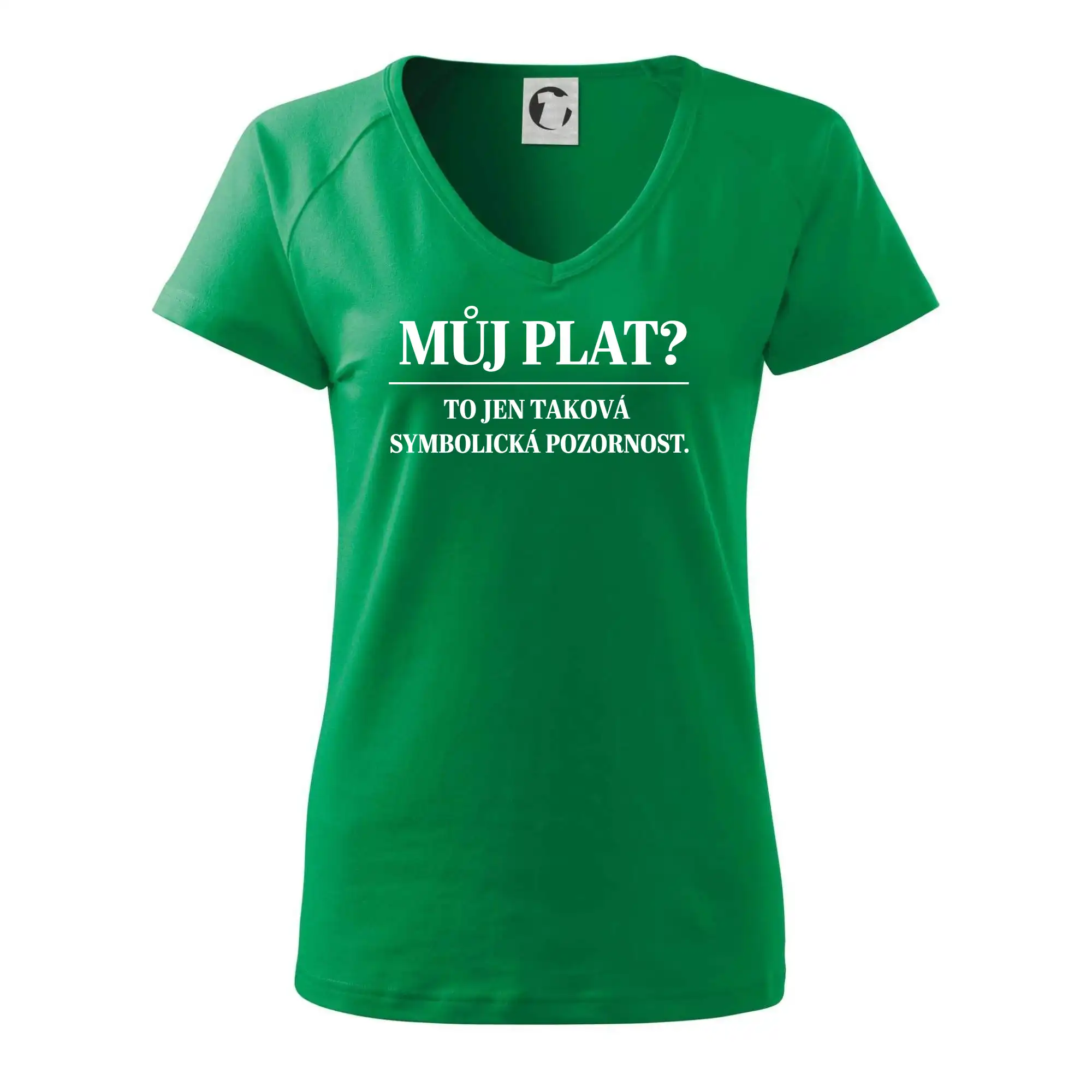 Můj plat? to jen taková symbolická pozornost