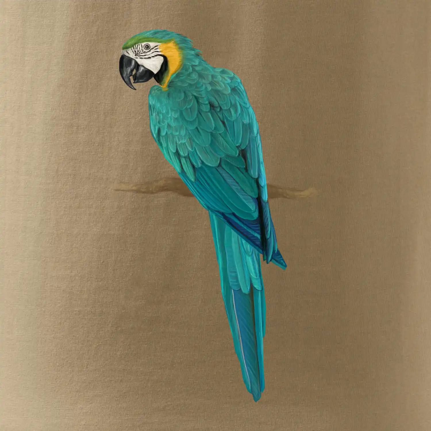 Ara