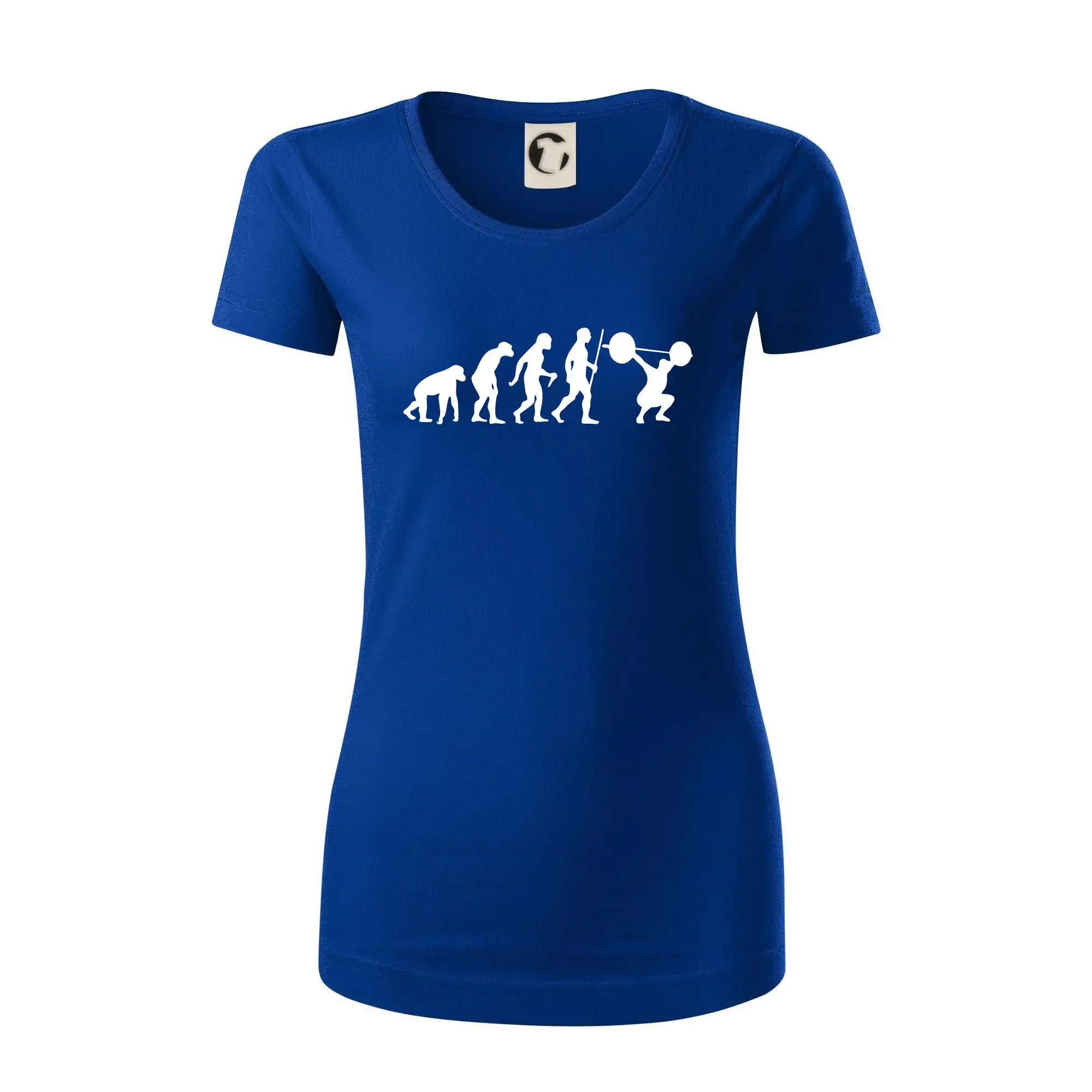 Evolution fitness